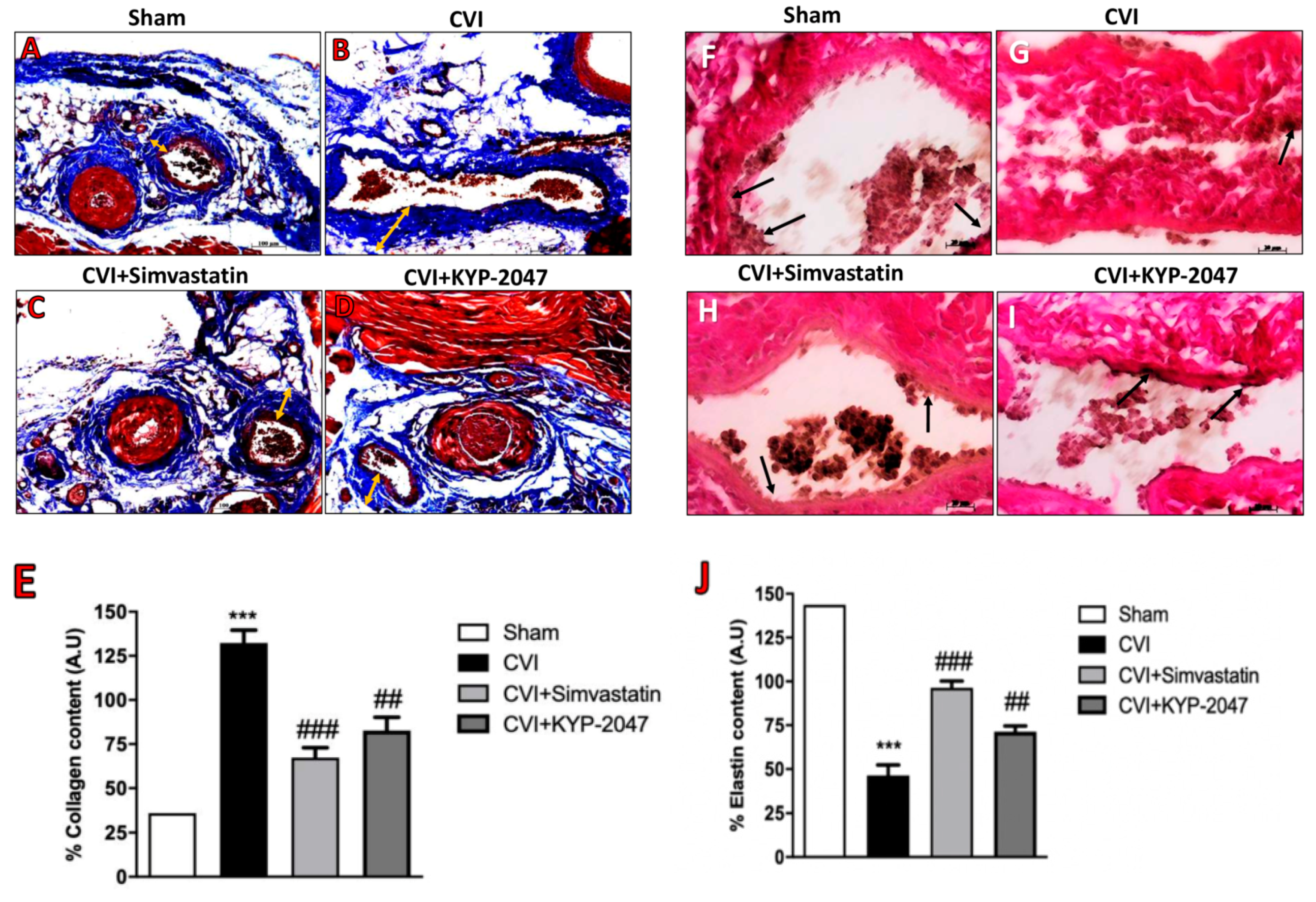 Biomedicines 08 00604 g006a