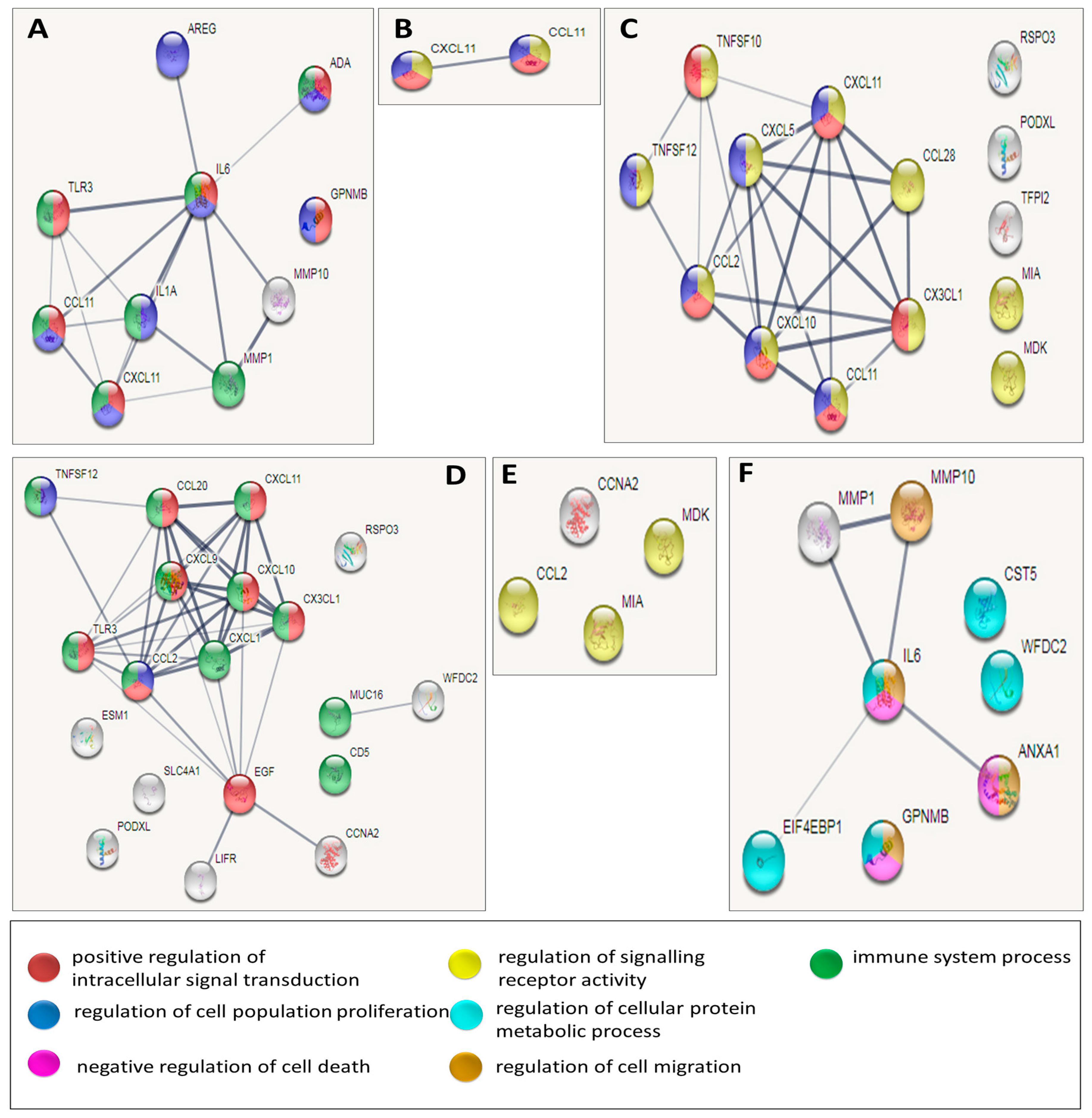 Biomedicines 08 00610 g002 Biomedicines 08 00610 g002