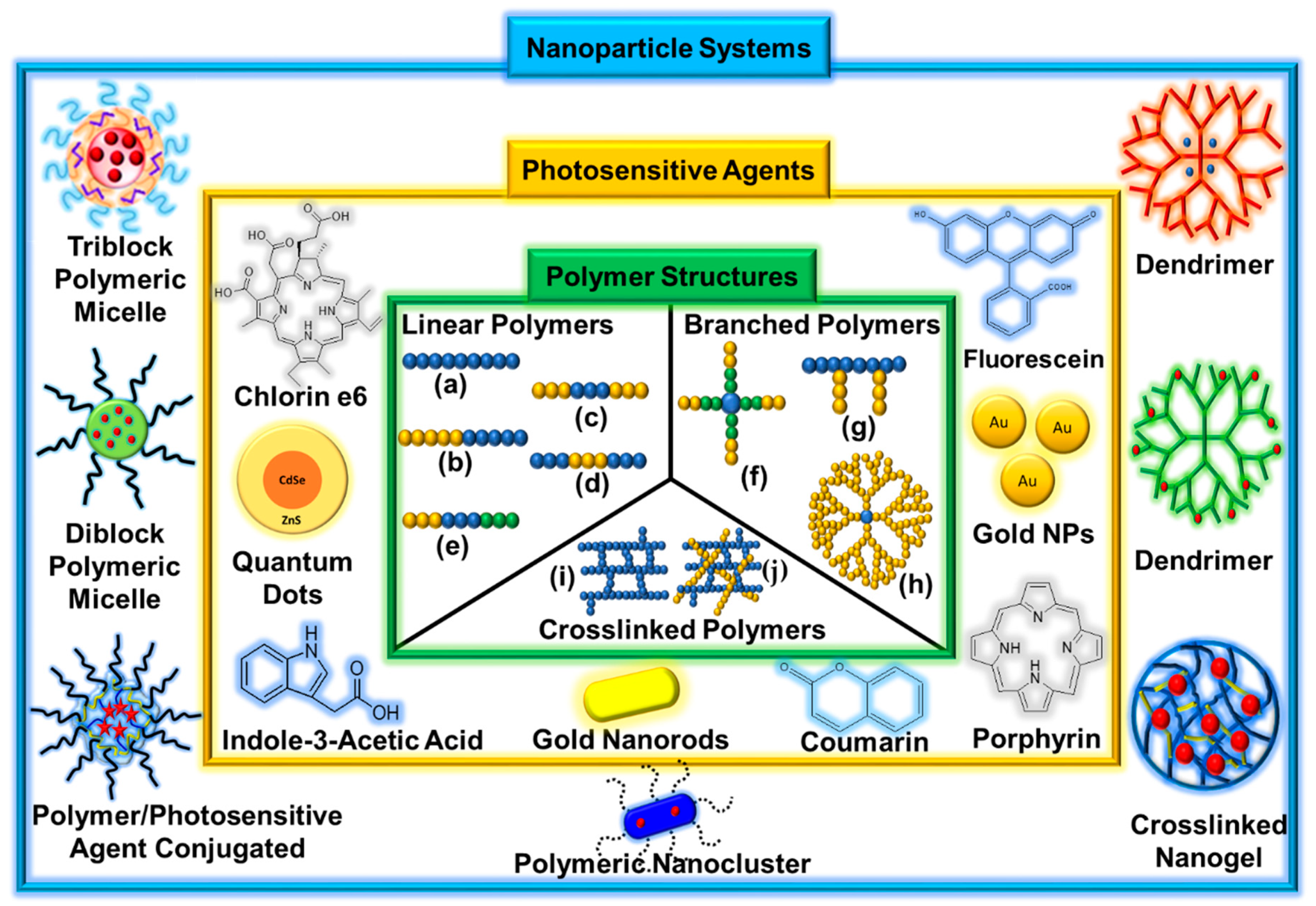 Biomedicines 08 00618 g002