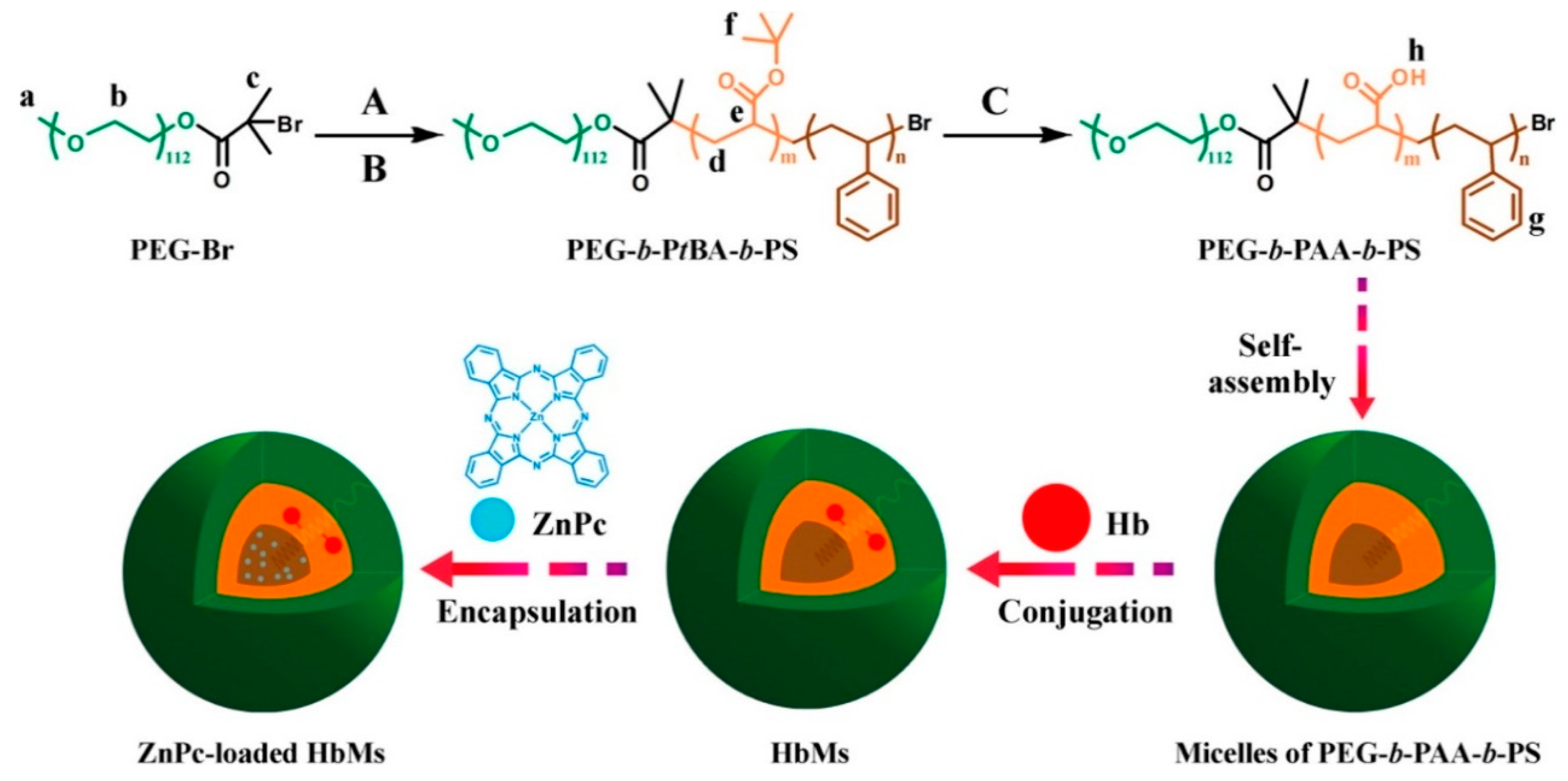 Biomedicines 08 00618 g005
