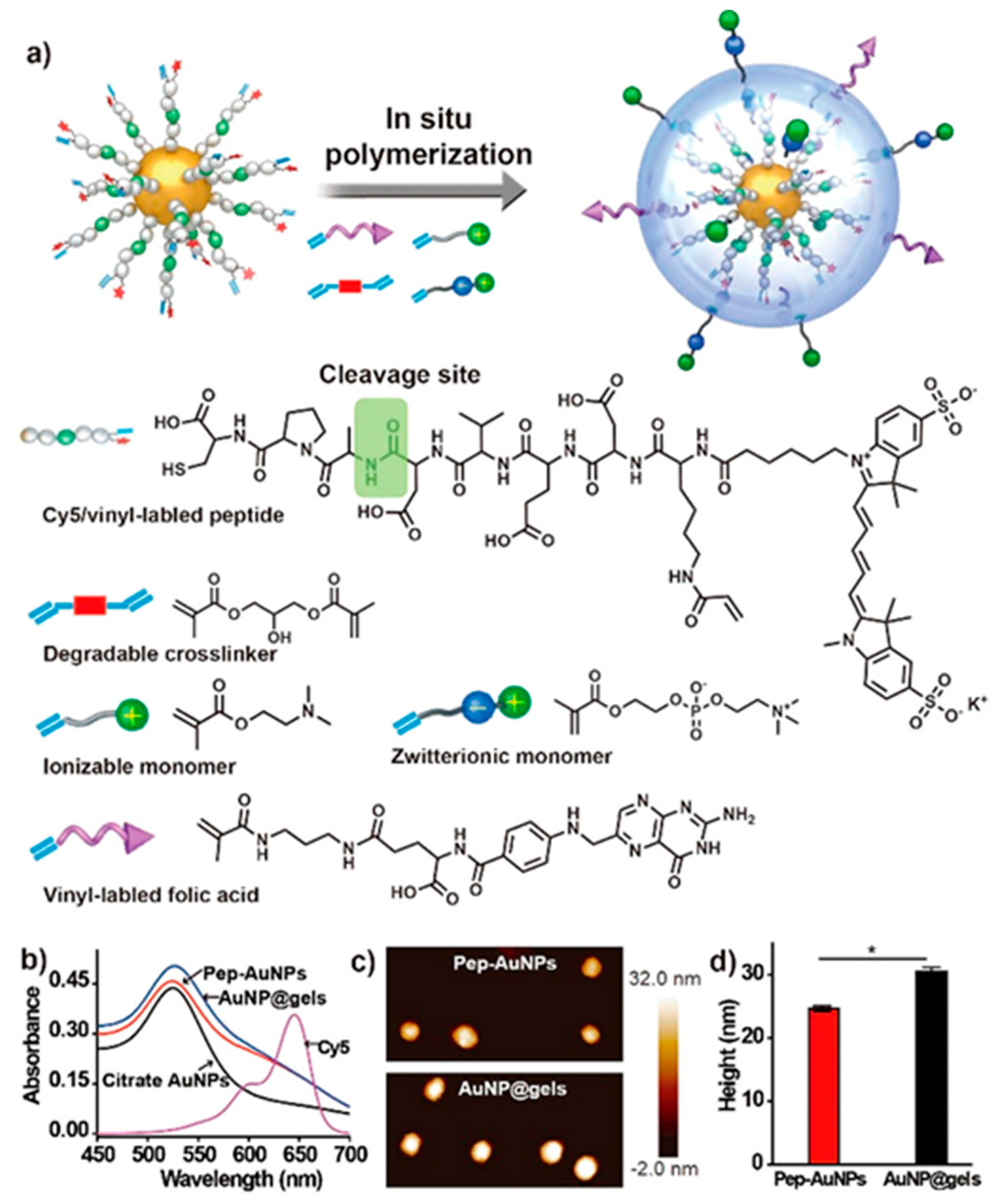 Biomedicines 08 00618 g010