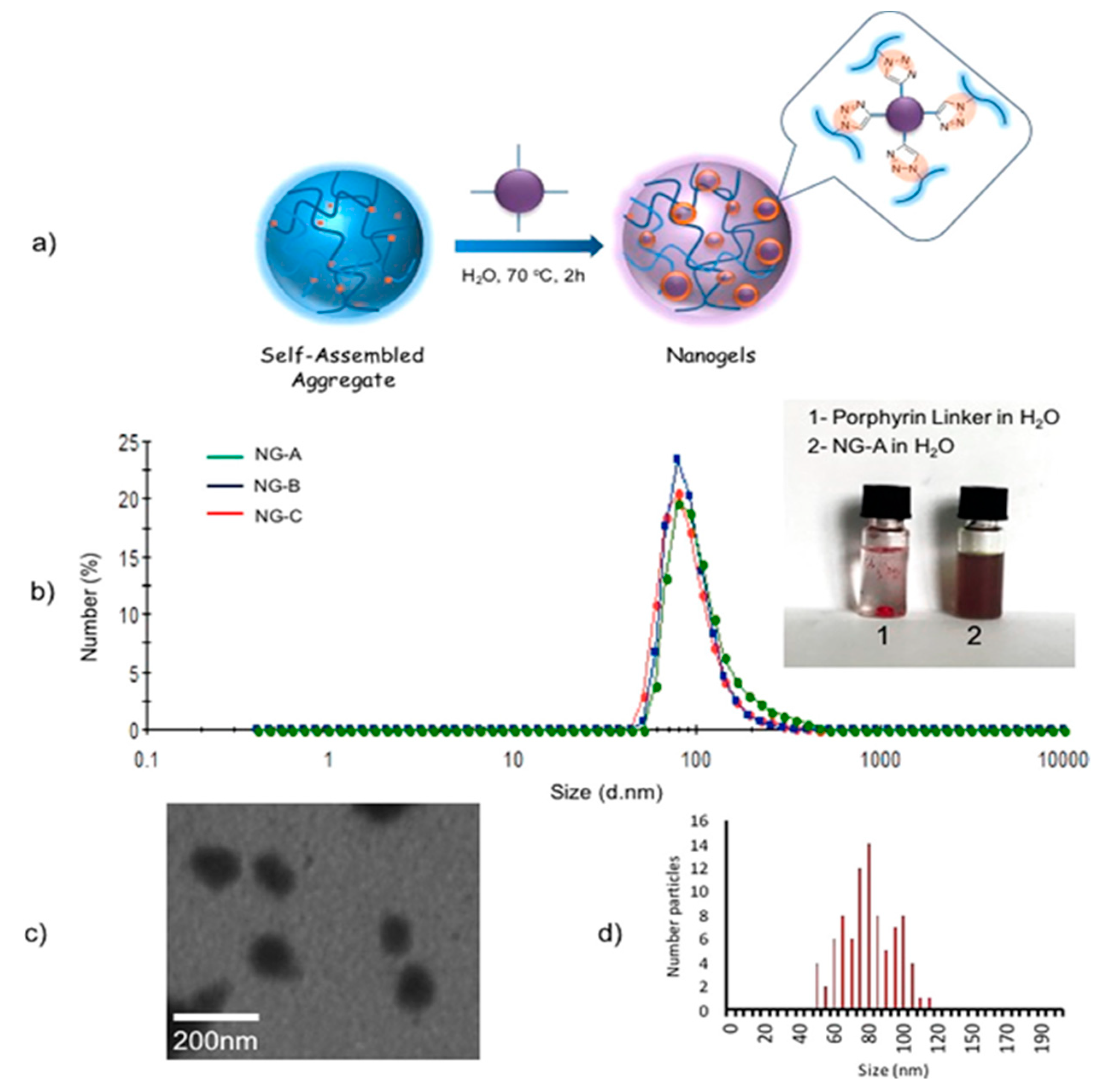 Biomedicines 08 00618 g011