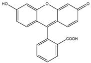 Biomedicines 08 00618 i002