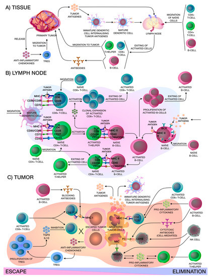 Biomedicines 08 00621 g001 550