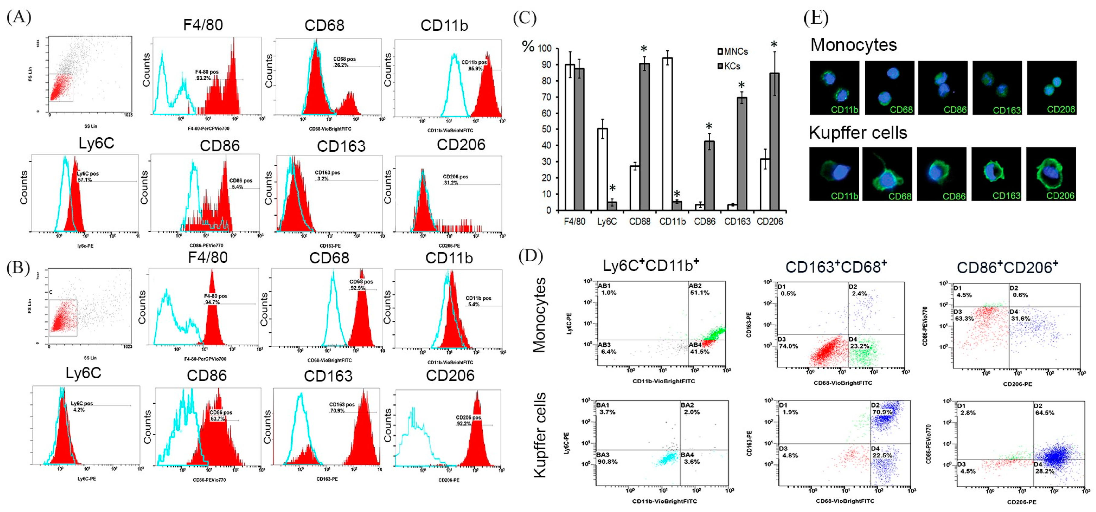Biomedicines 08 00627 g001