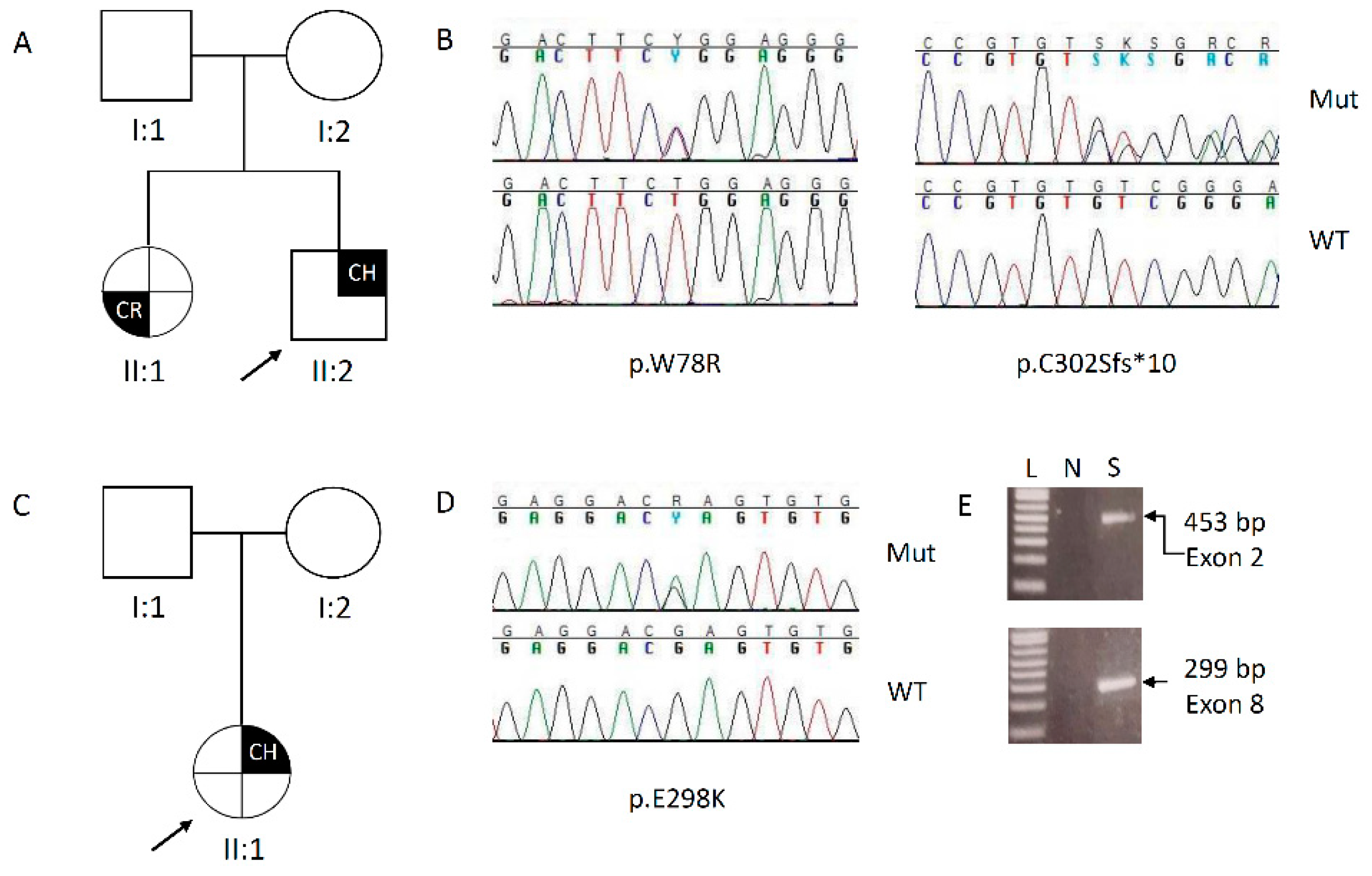 Biomedicines 08 00631 g002 Biomedicines 08 00631 g002