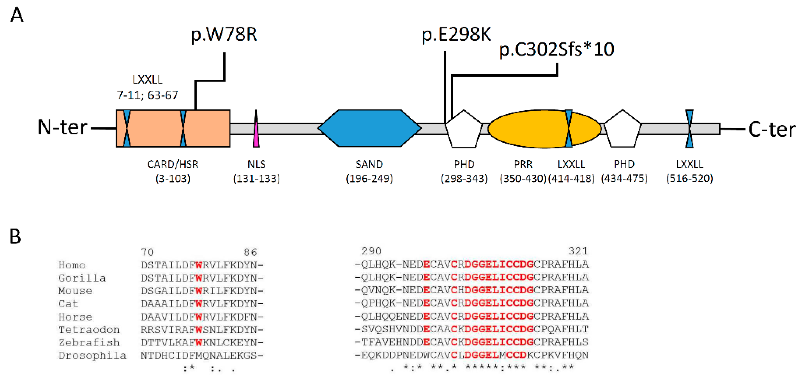 Biomedicines 08 00631 g003 Biomedicines 08 00631 g003
