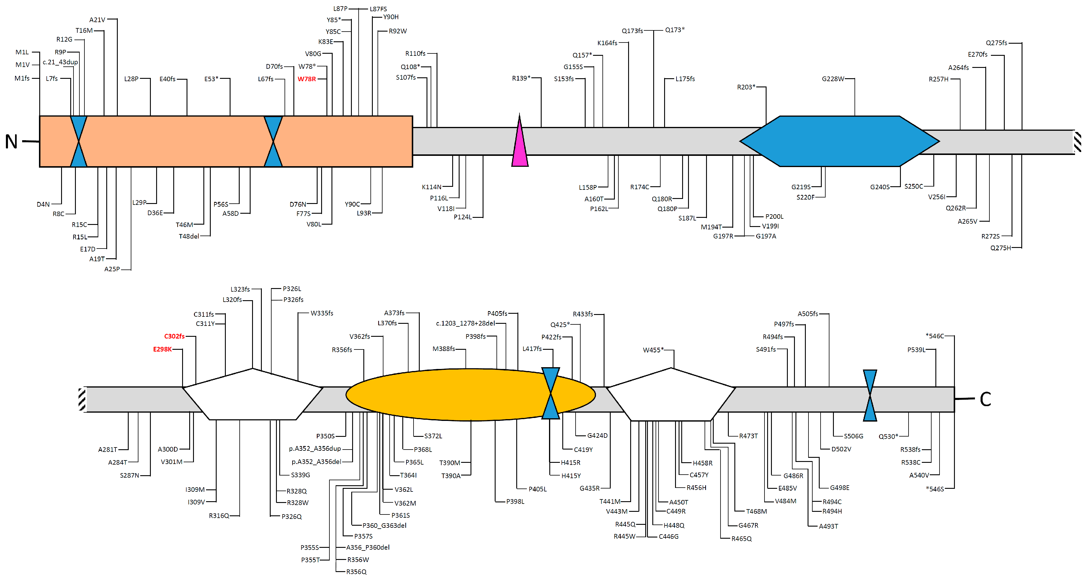 Biomedicines 08 00631 g004 Biomedicines 08 00631 g004