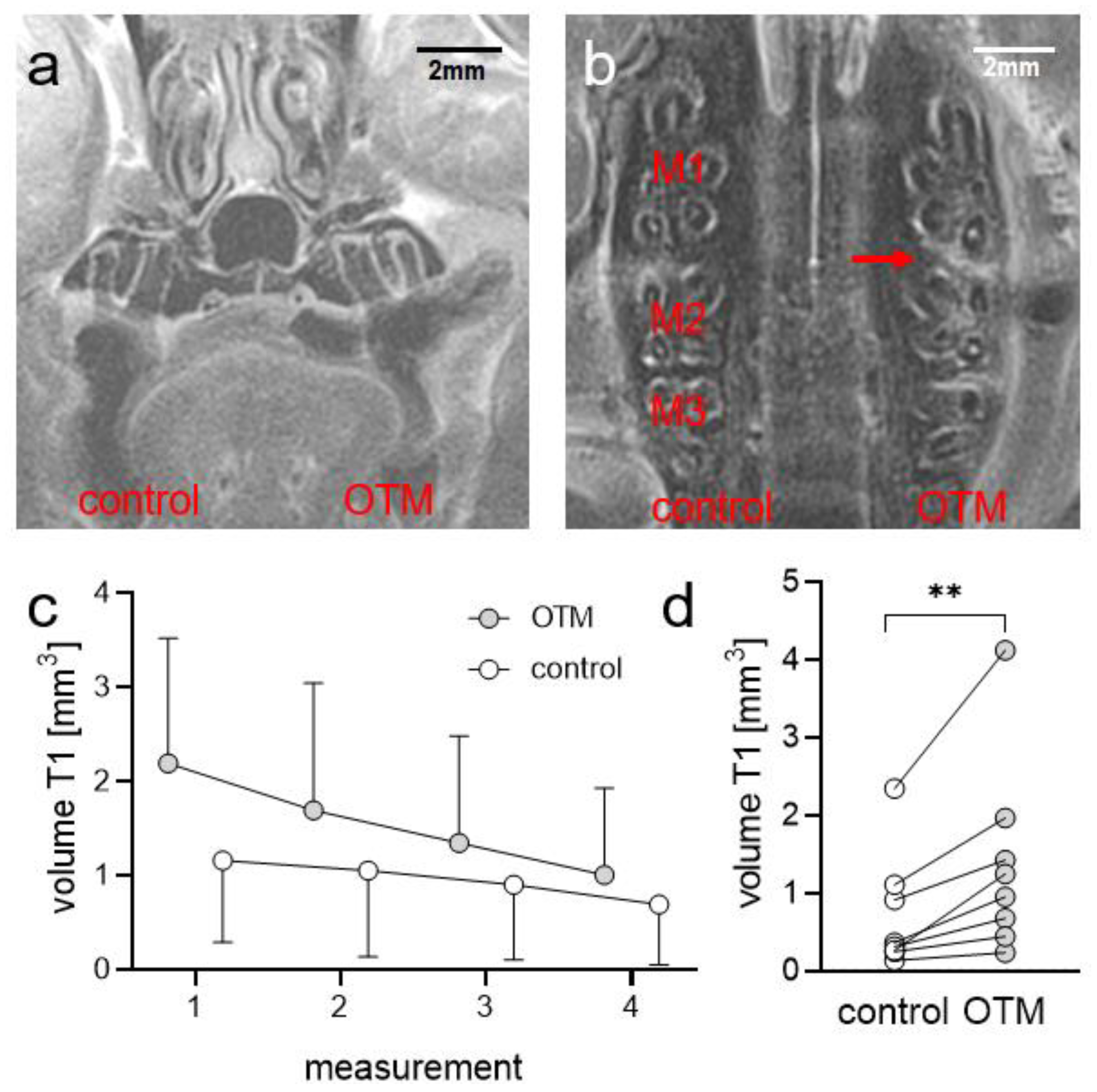 Biomedicines 08 00632 g001