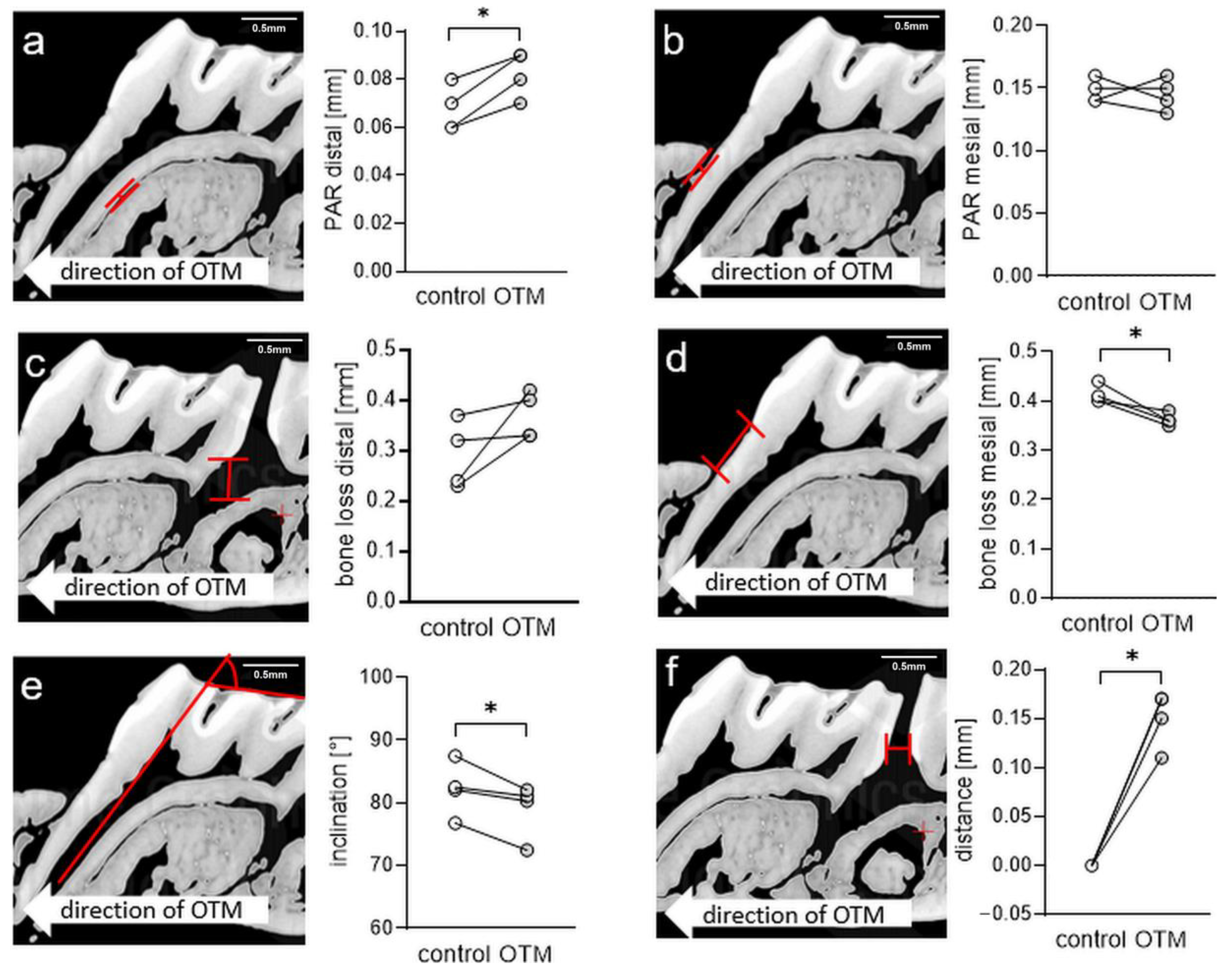 Biomedicines 08 00632 g004