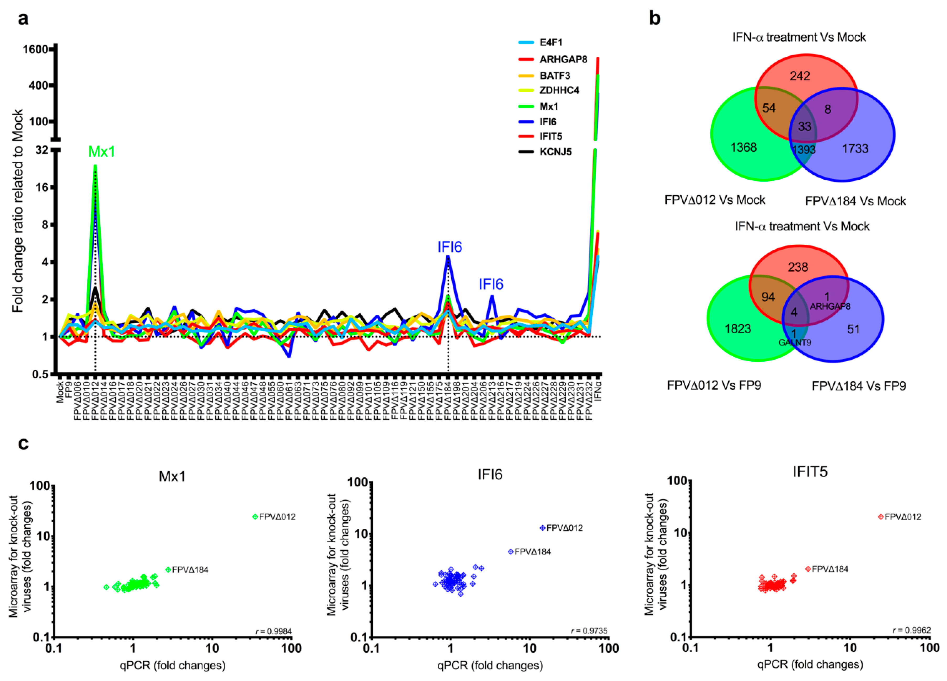 Biomedicines 08 00634 g001