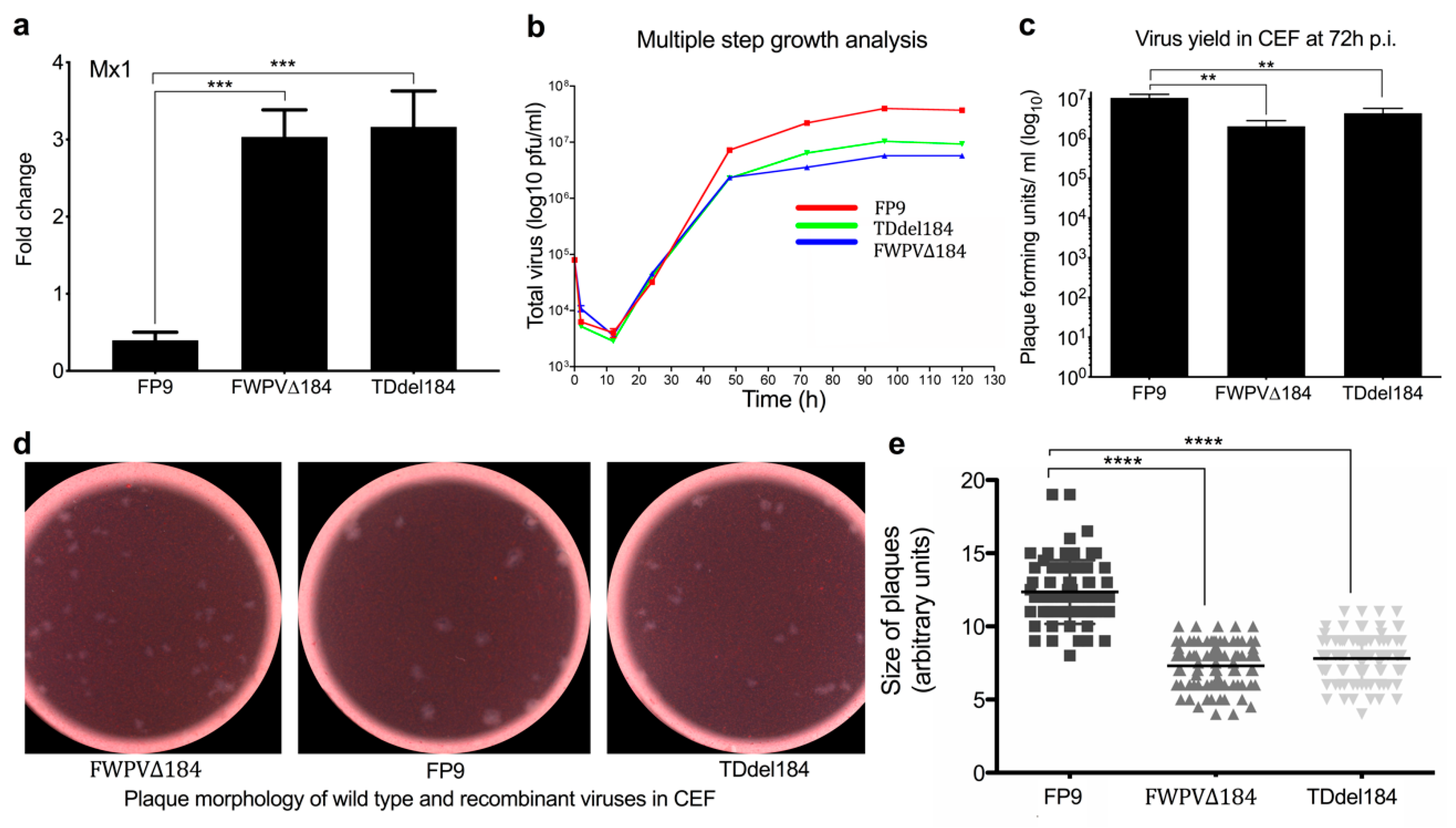 Biomedicines 08 00634 g002