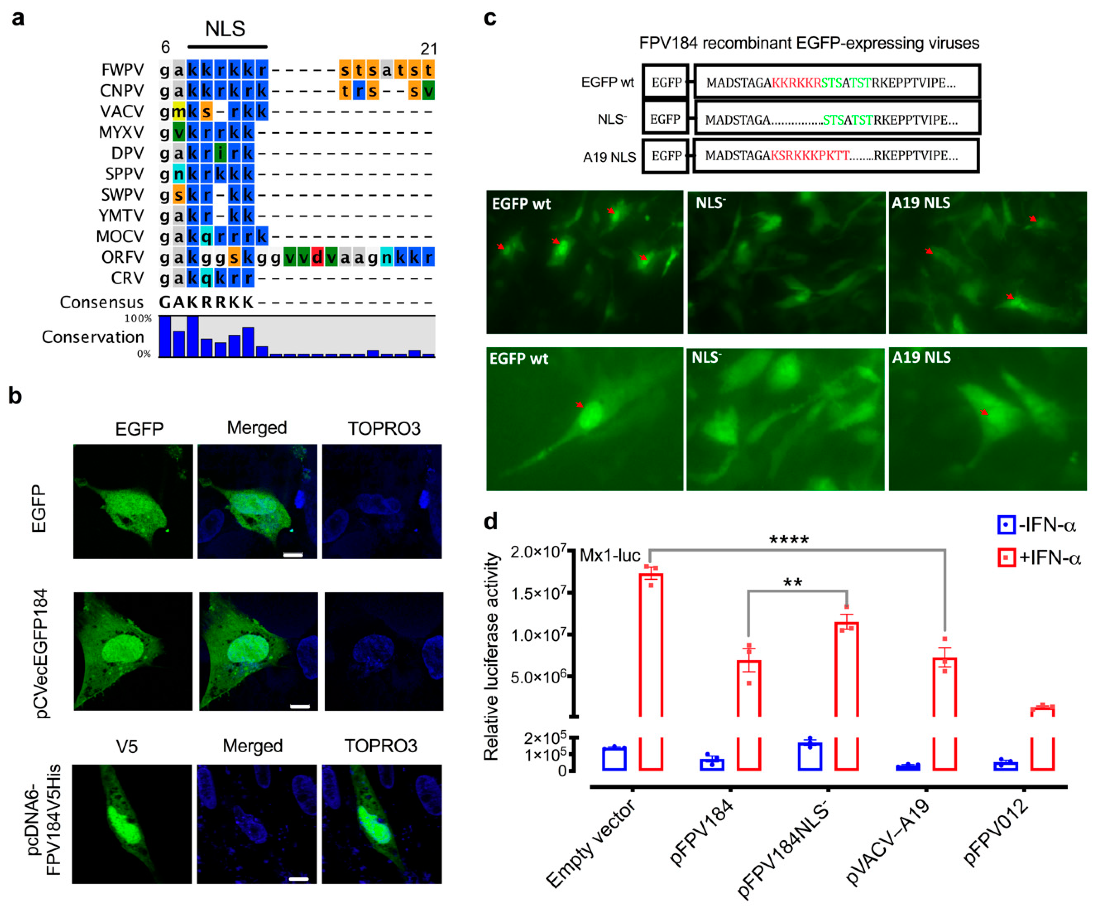 Biomedicines 08 00634 g005