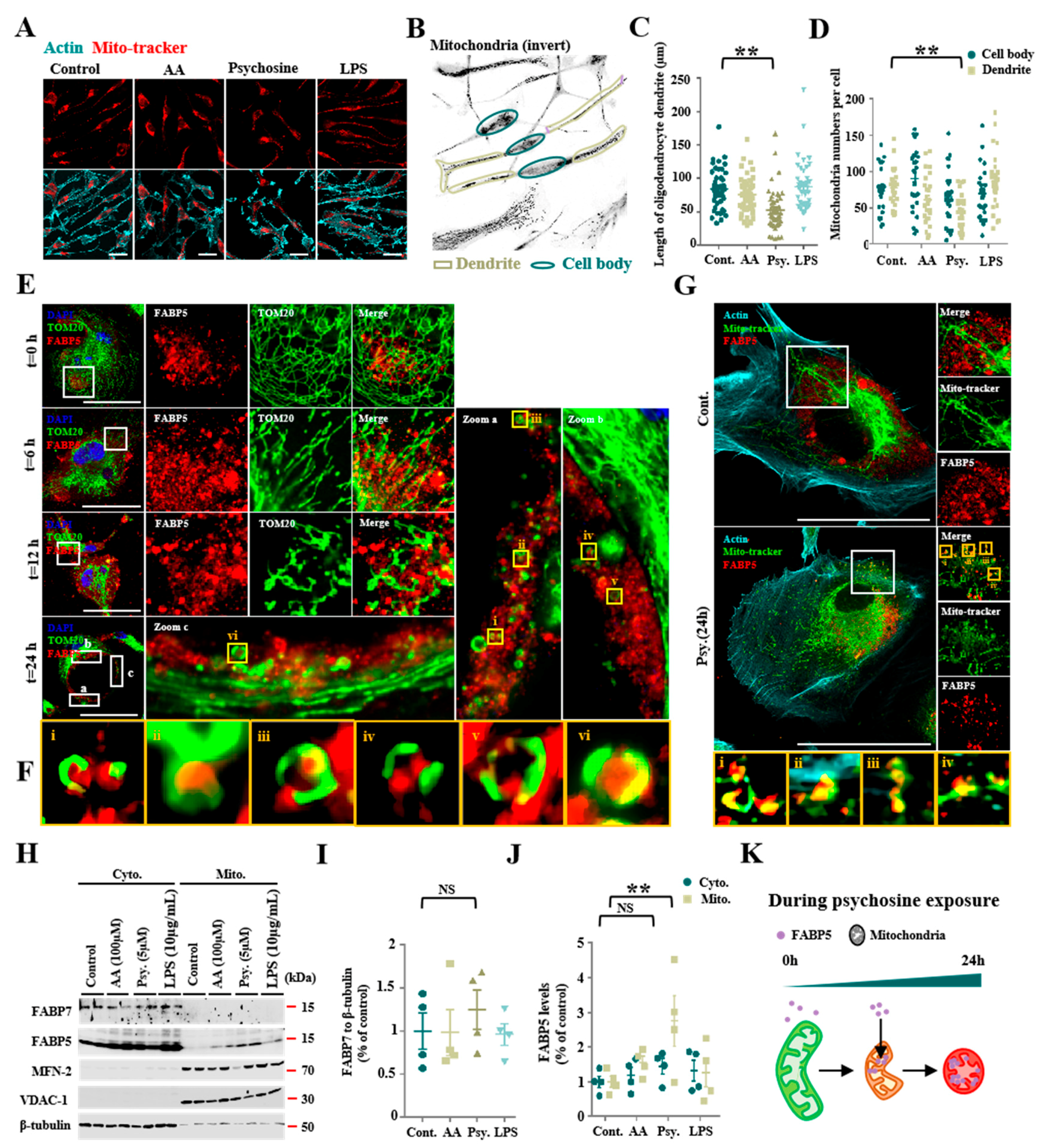 Biomedicines 08 00635 g001 Biomedicines 08 00635 g001