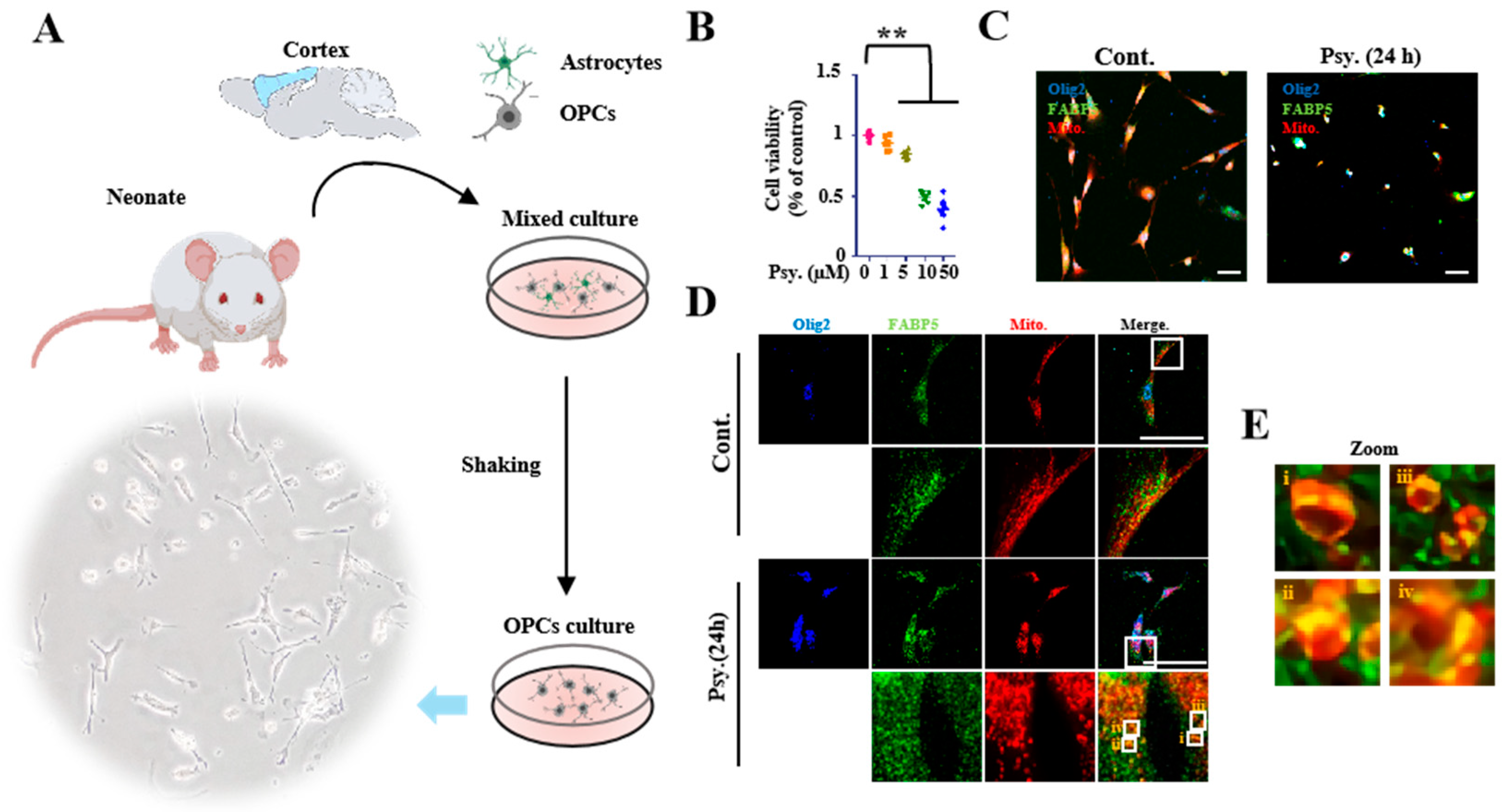 Biomedicines 08 00635 g002 Biomedicines 08 00635 g002