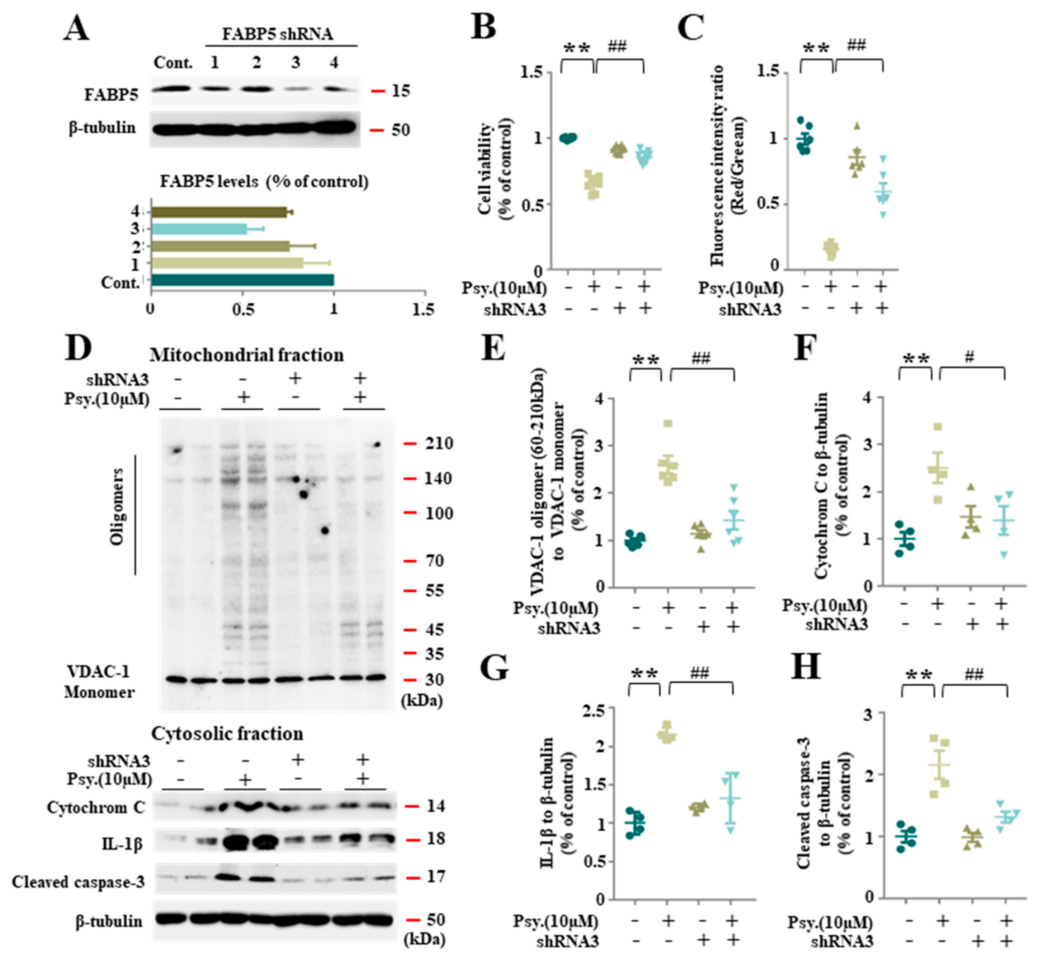 Biomedicines 08 00635 g004 Biomedicines 08 00635 g004
