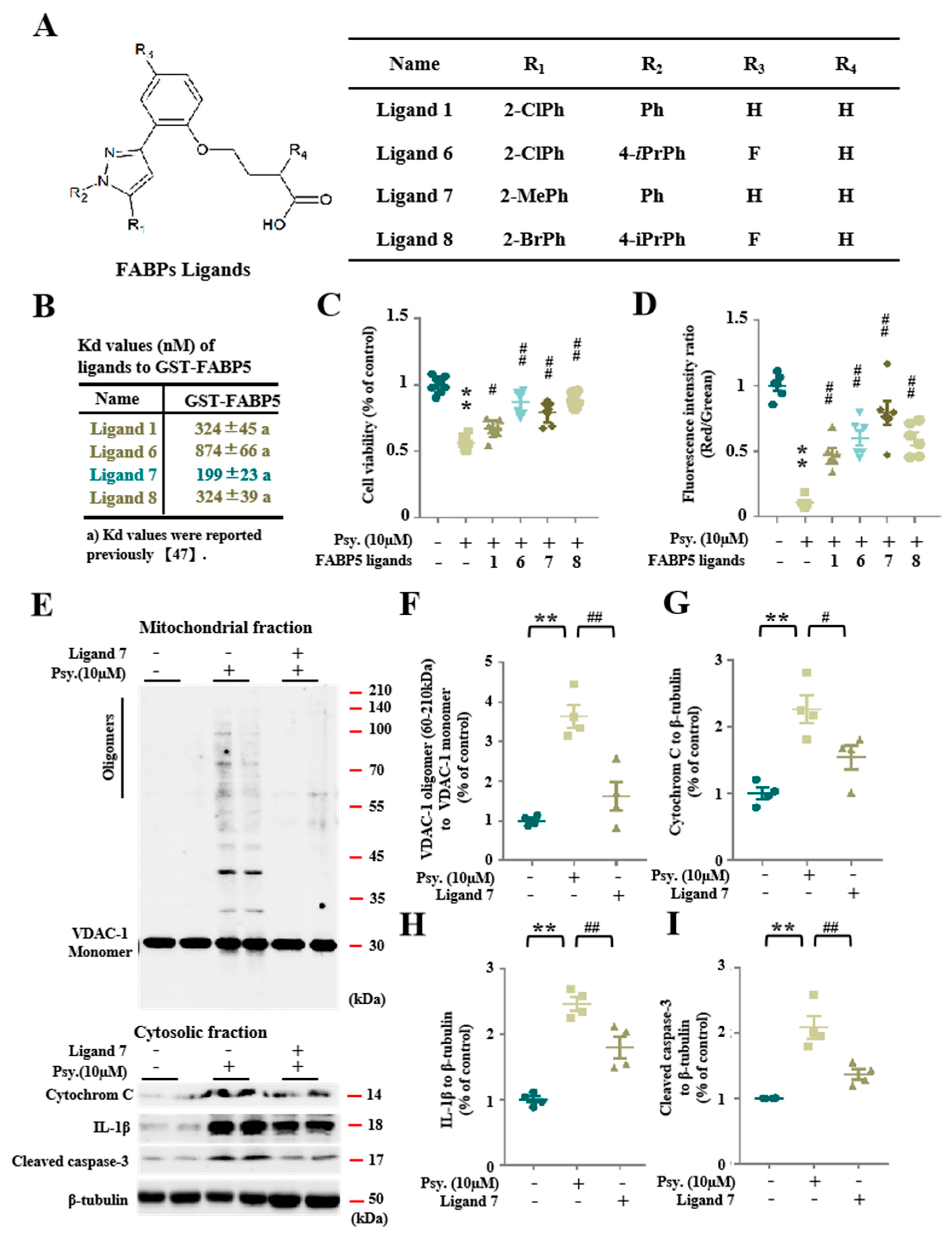 Biomedicines 08 00635 g005 Biomedicines 08 00635 g005