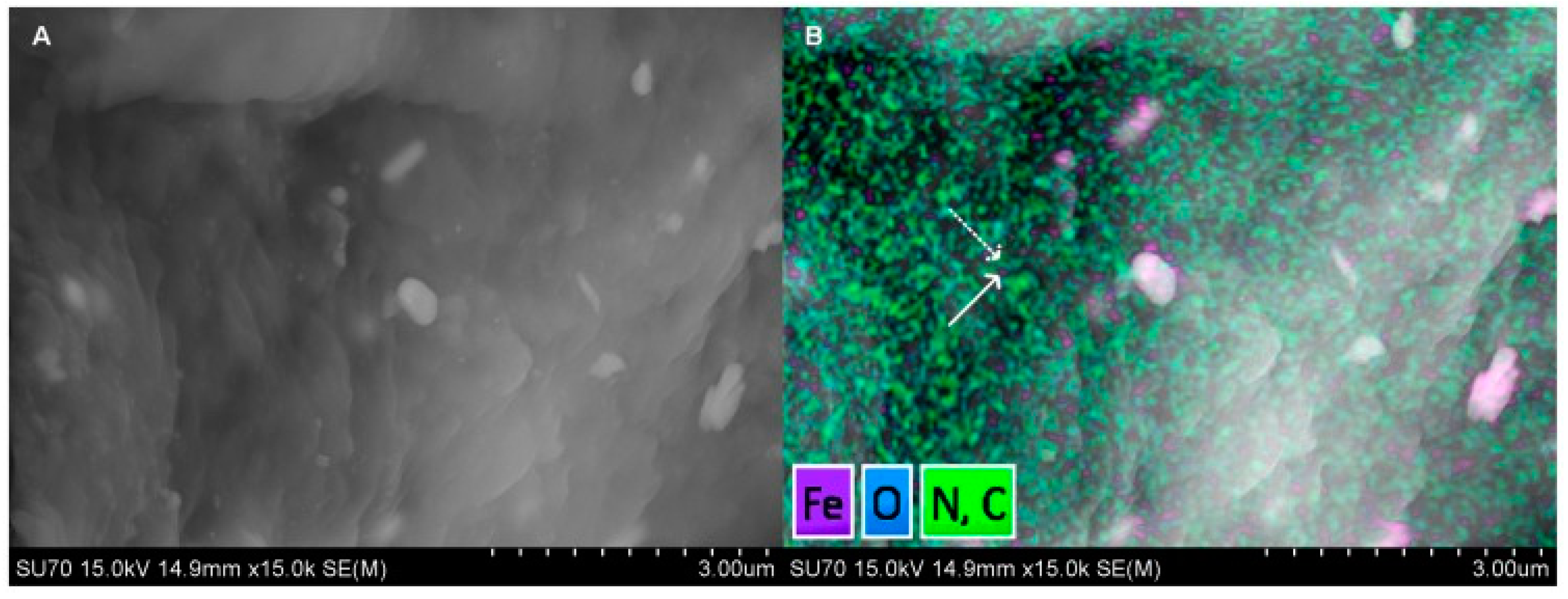 Biomedicines 09 00001 g004