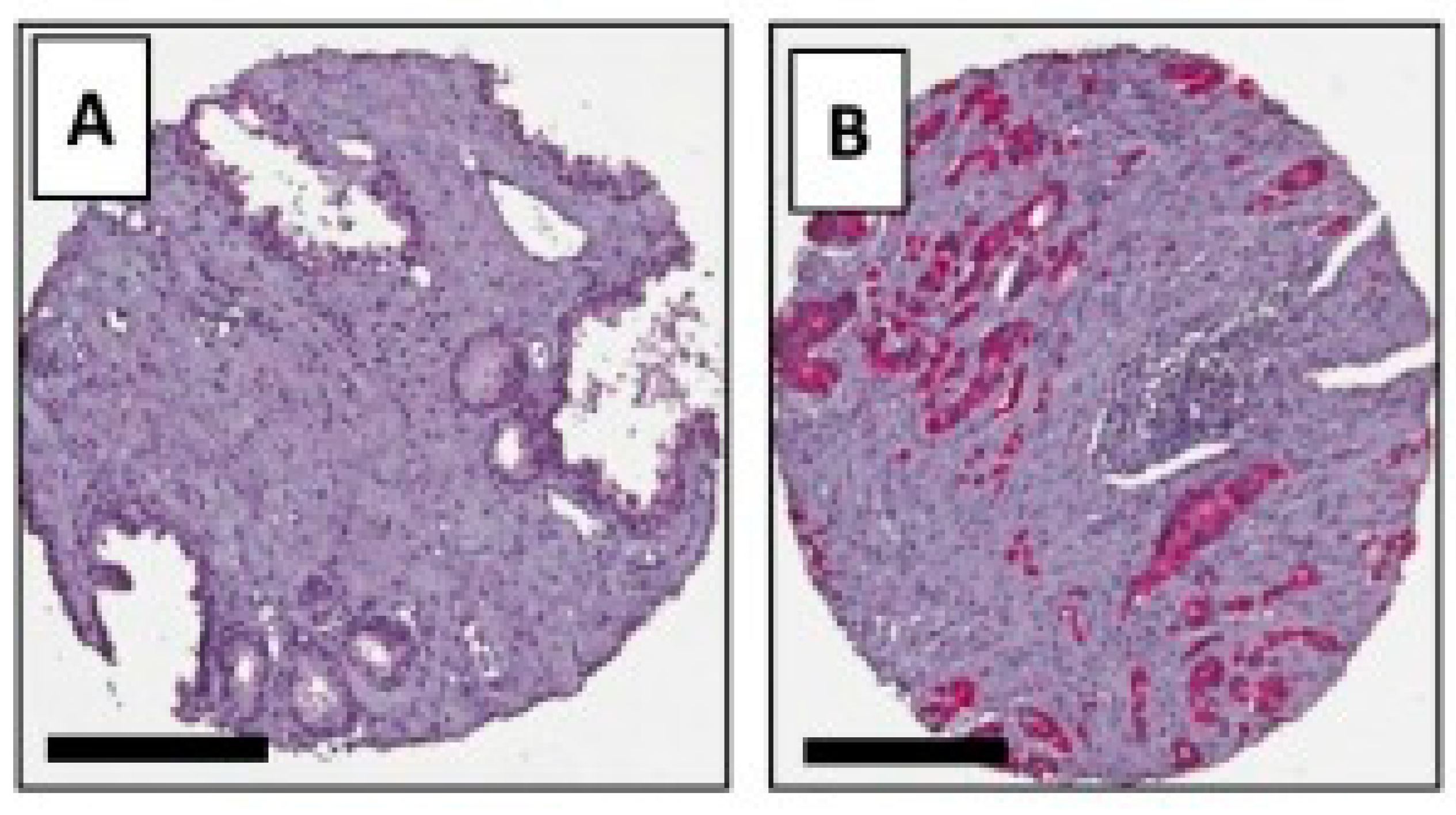 Biomedicines 09 00001 g006