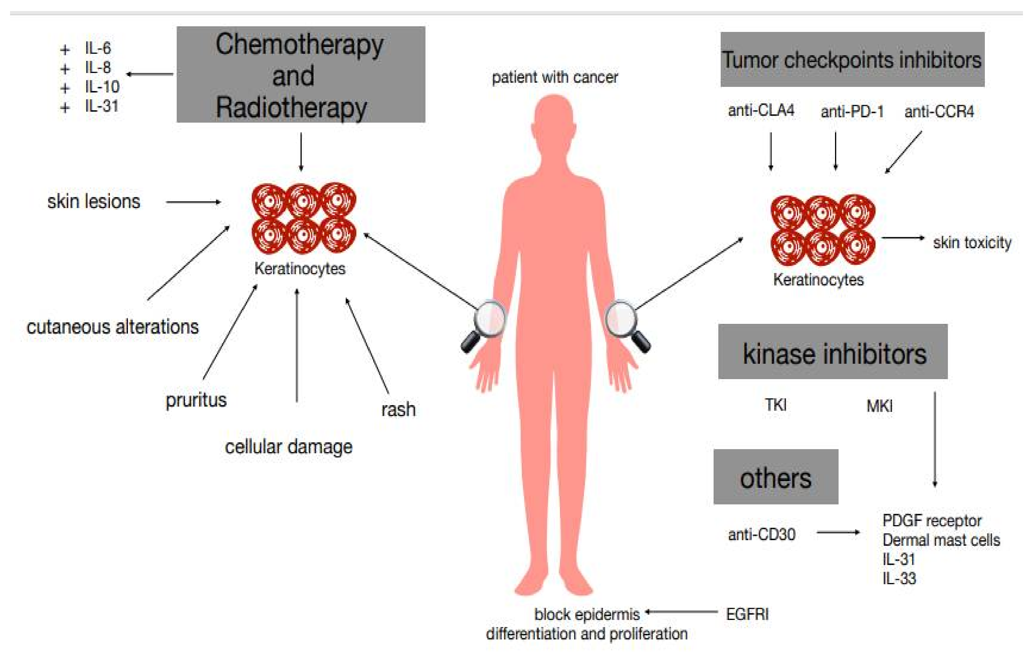 Biomedicines 09 00002 g001 Biomedicines 09 00002 g001