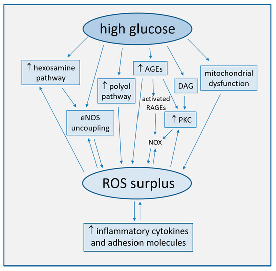 Biomedicines 09 00003 g001 550