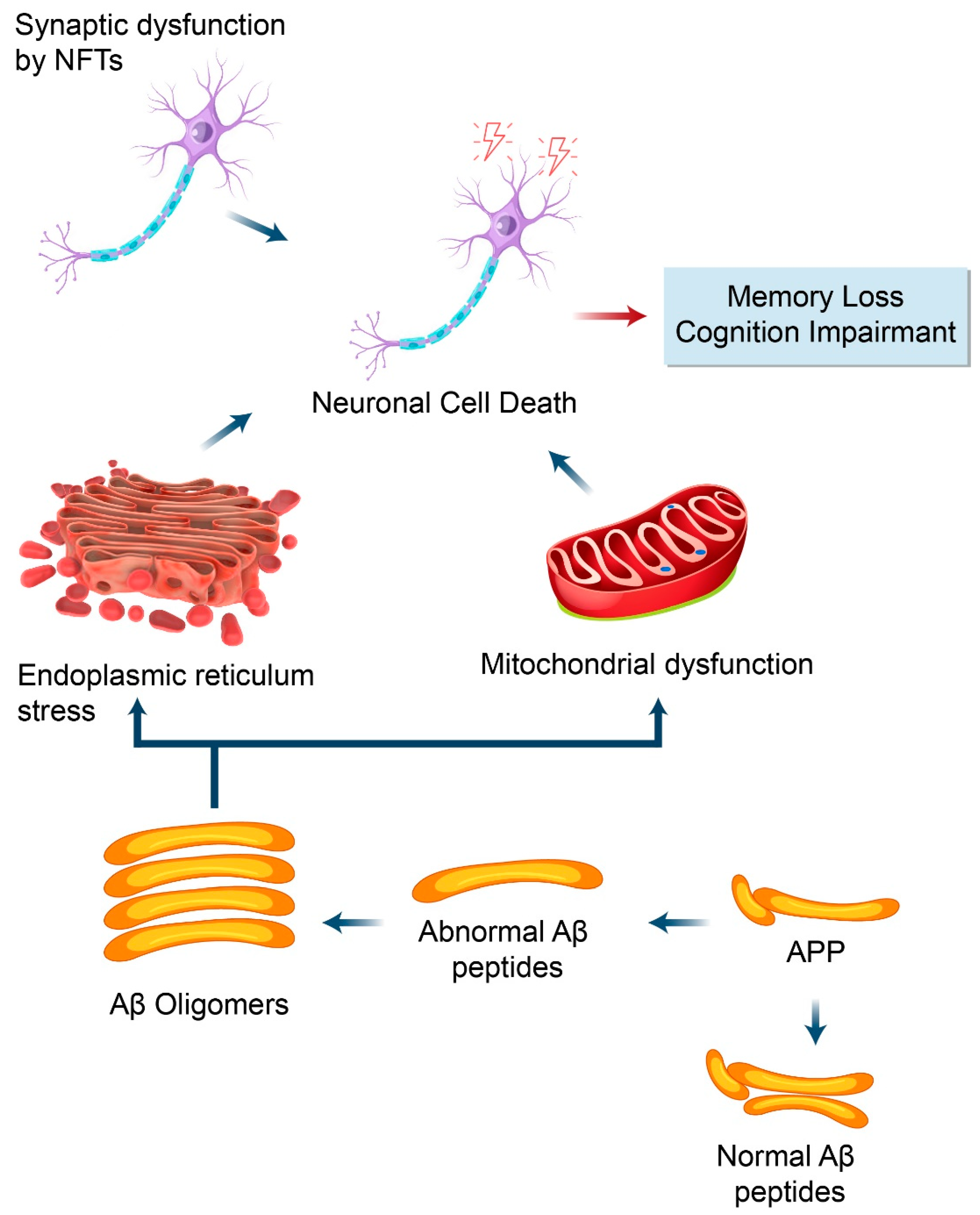 Biomedicines 09 00005 g004