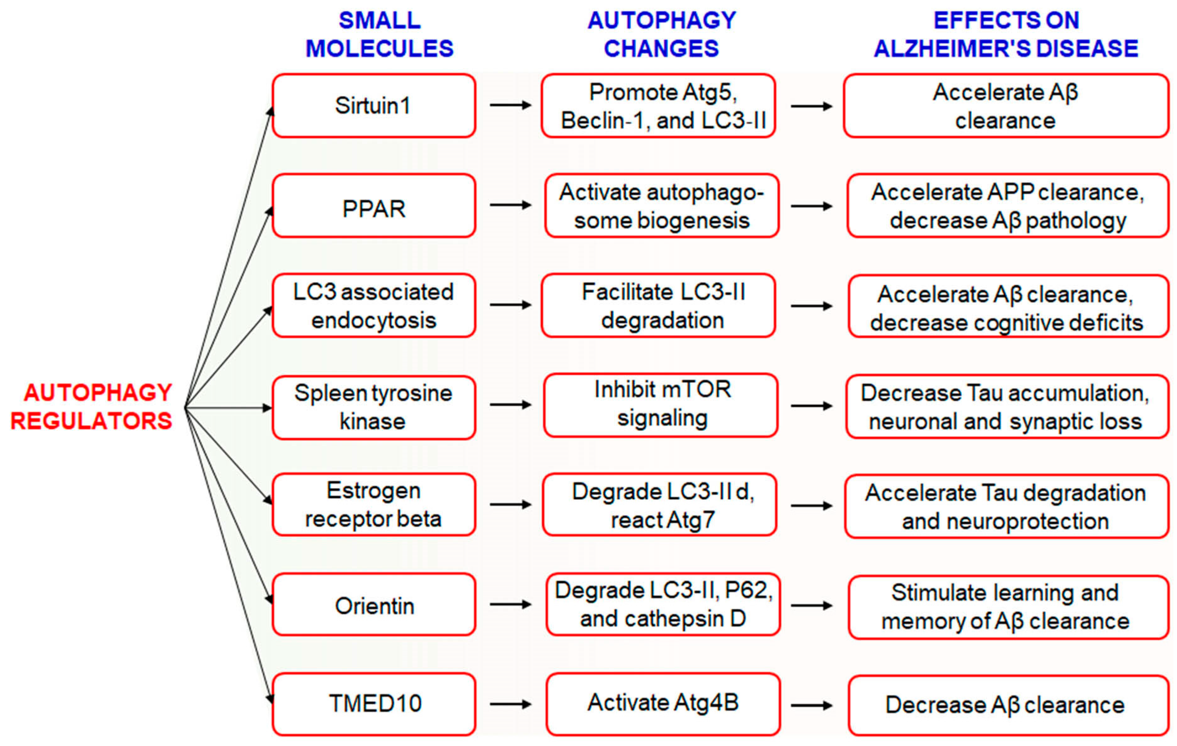 Biomedicines 09 00005 g006