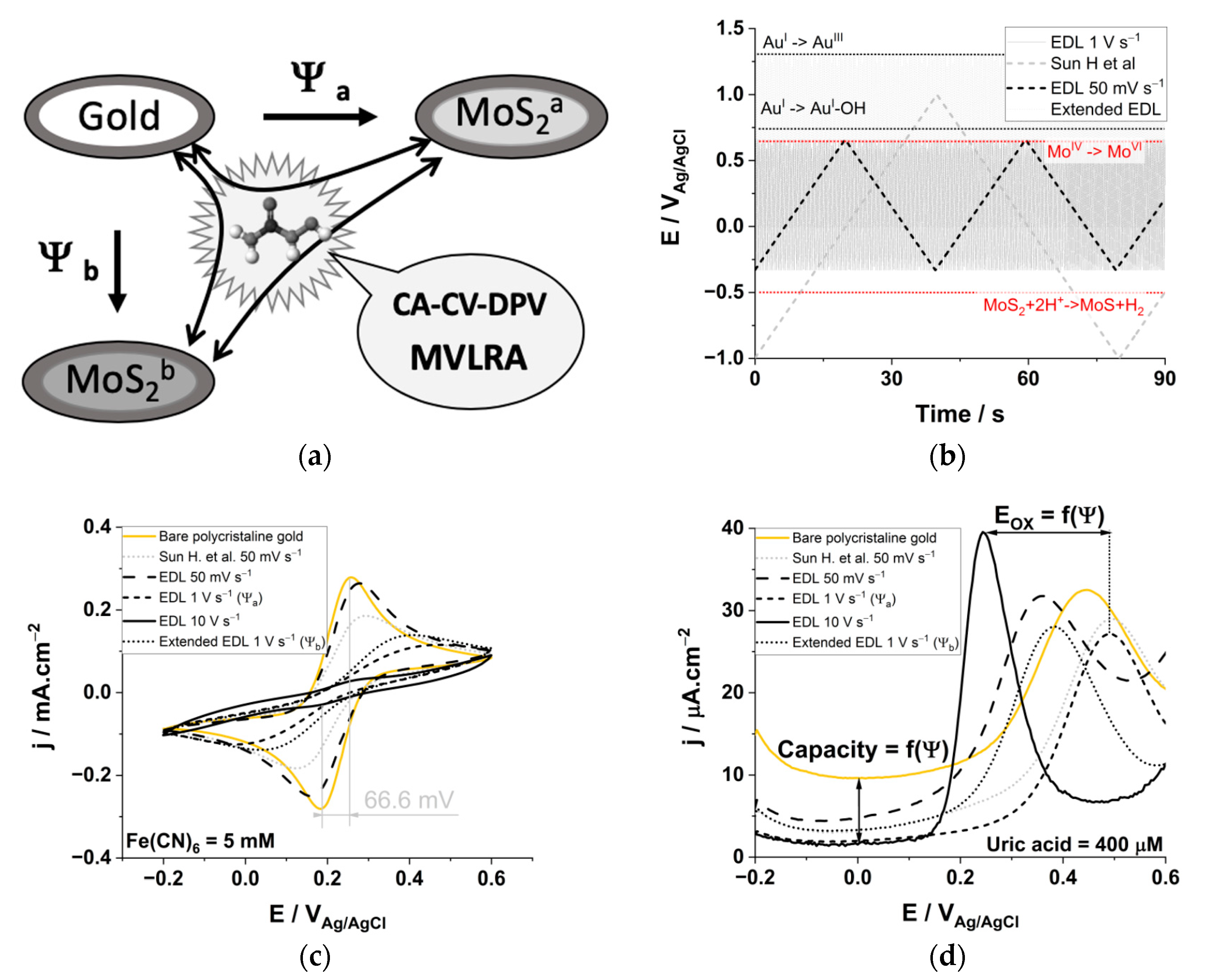 Biomedicines 09 00006 g001 Biomedicines 09 00006 g001