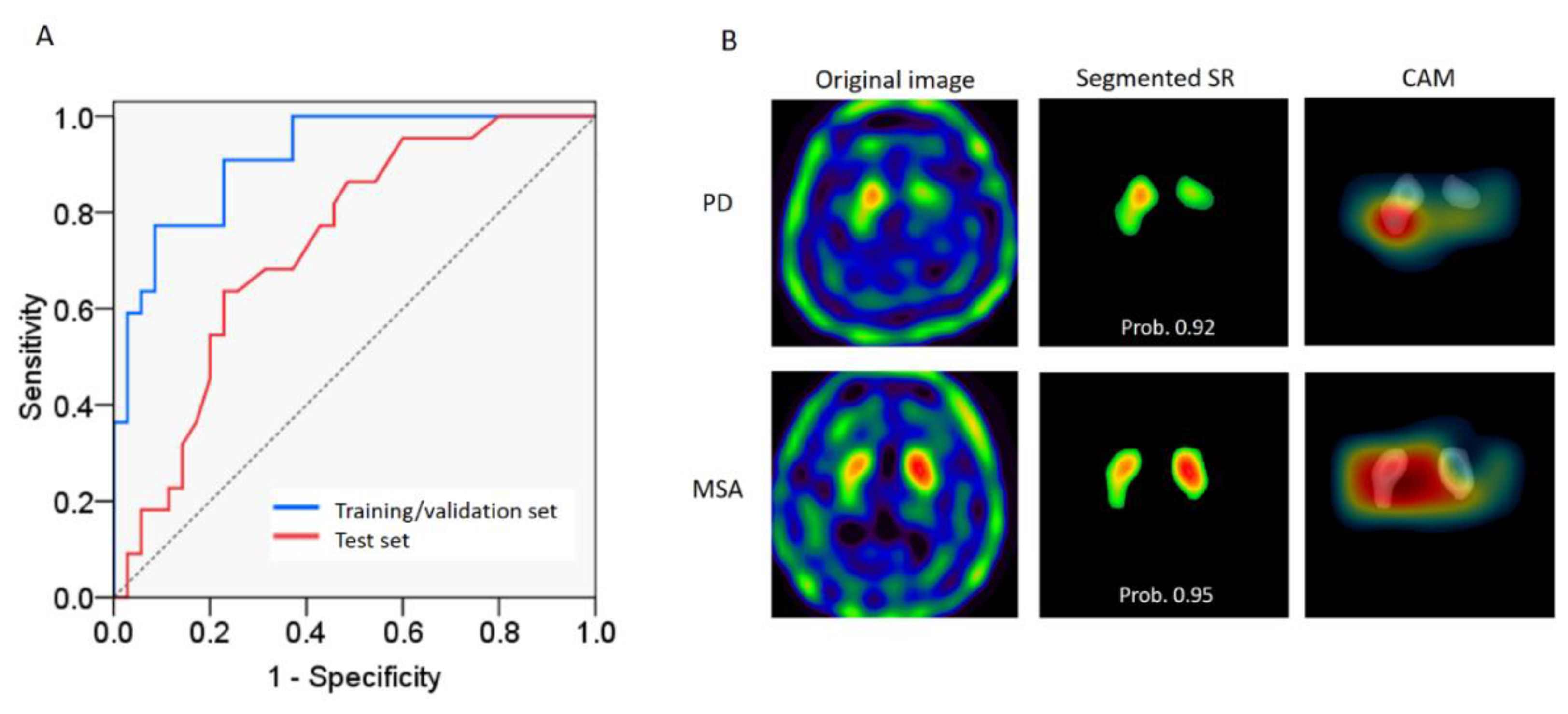 Biomedicines 09 00012 g004