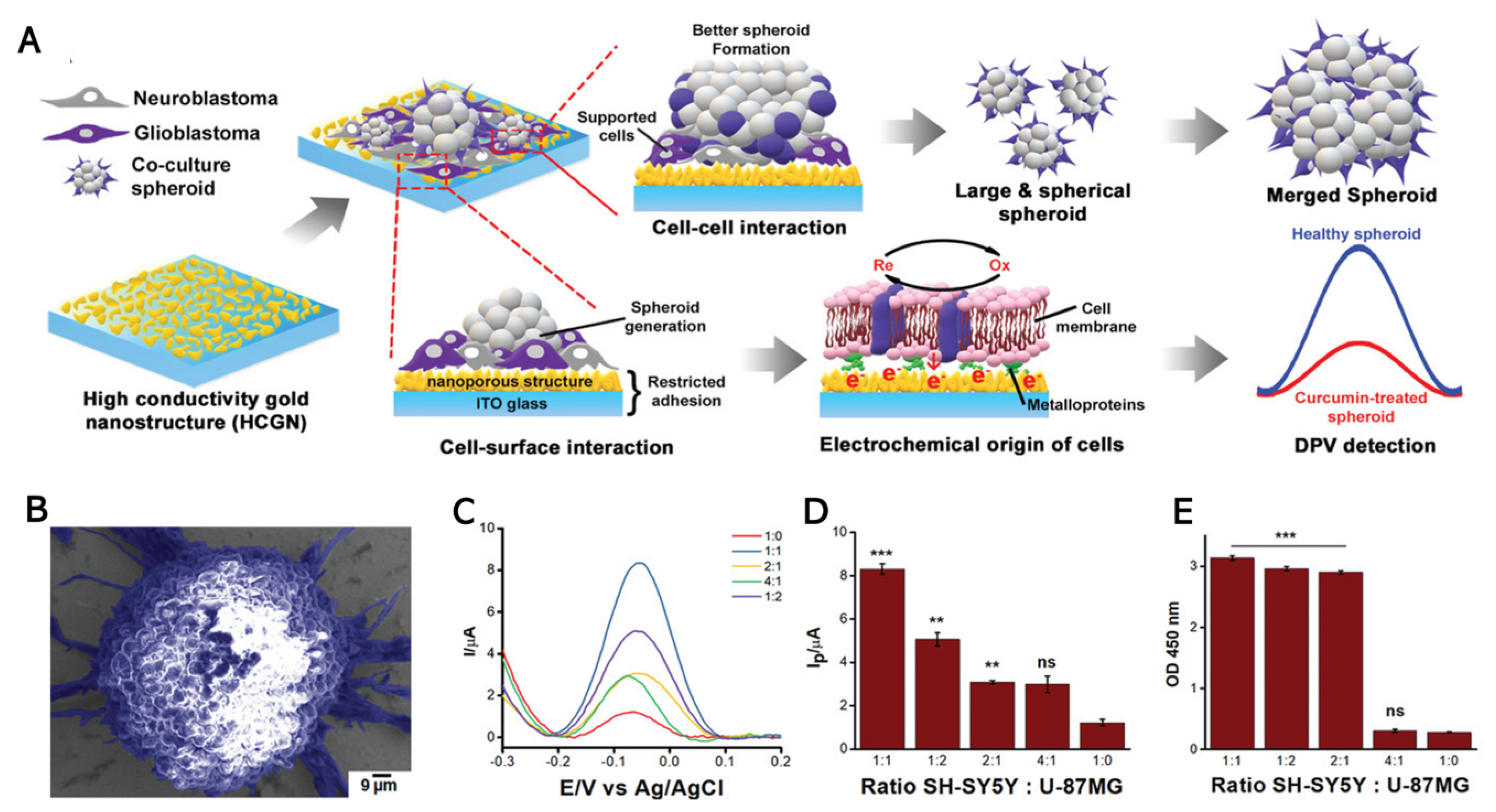 Biomedicines 09 00015 g005 Biomedicines 09 00015 g005