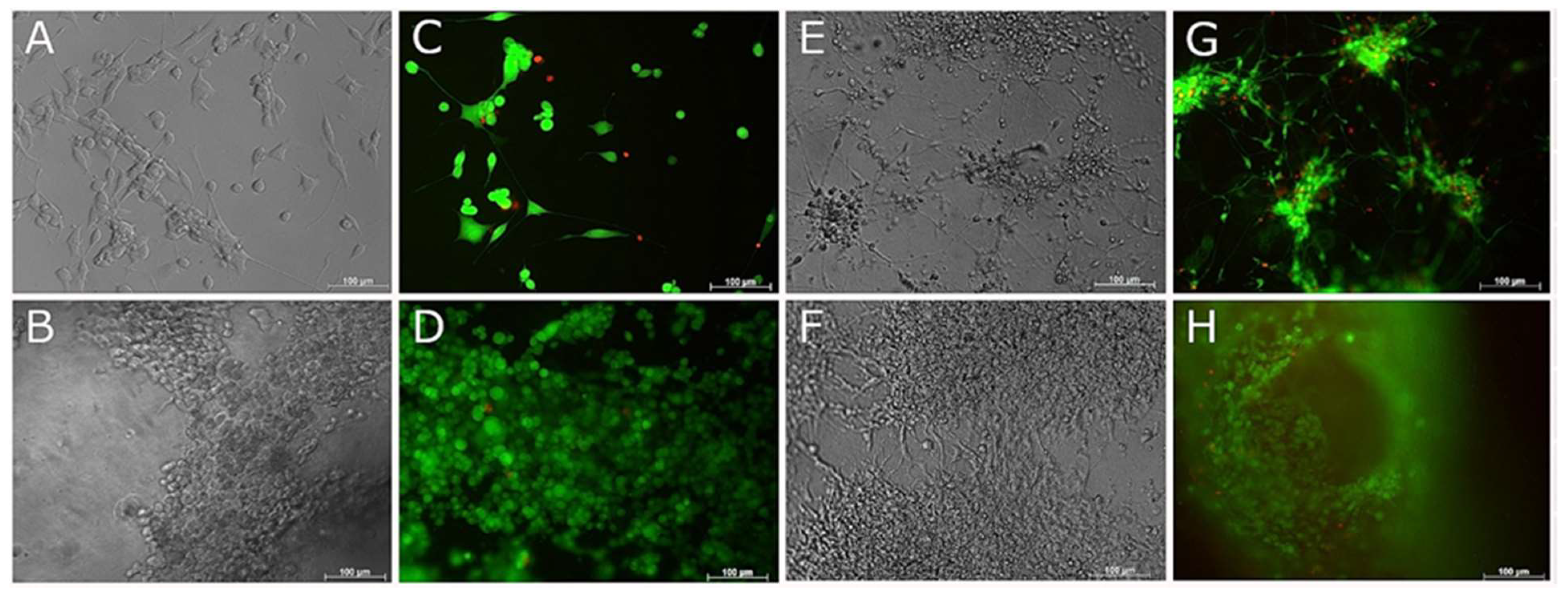 Biomedicines 09 00016 g006 Biomedicines 09 00016 g006