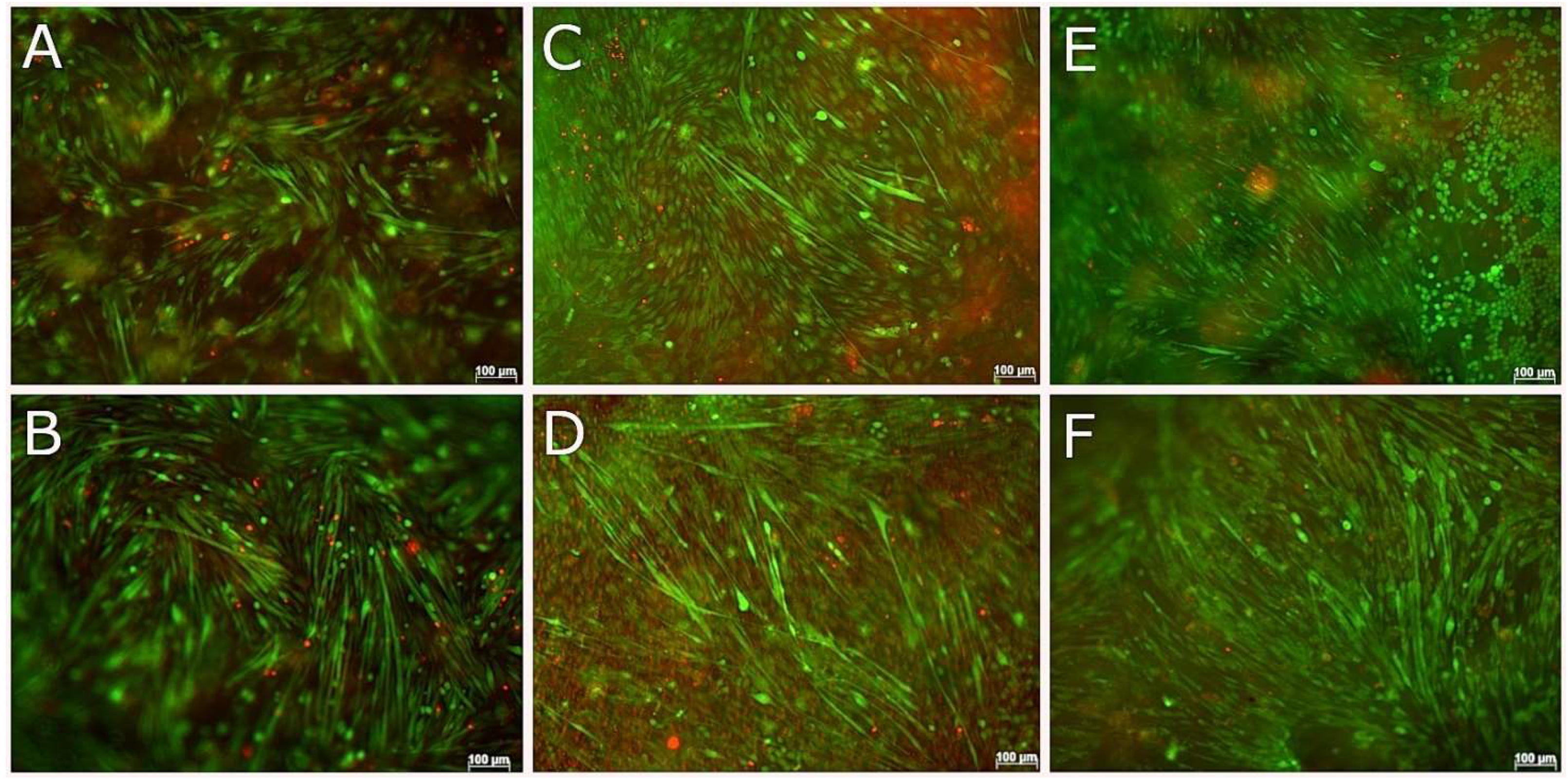 Biomedicines 09 00016 g010 Biomedicines 09 00016 g010