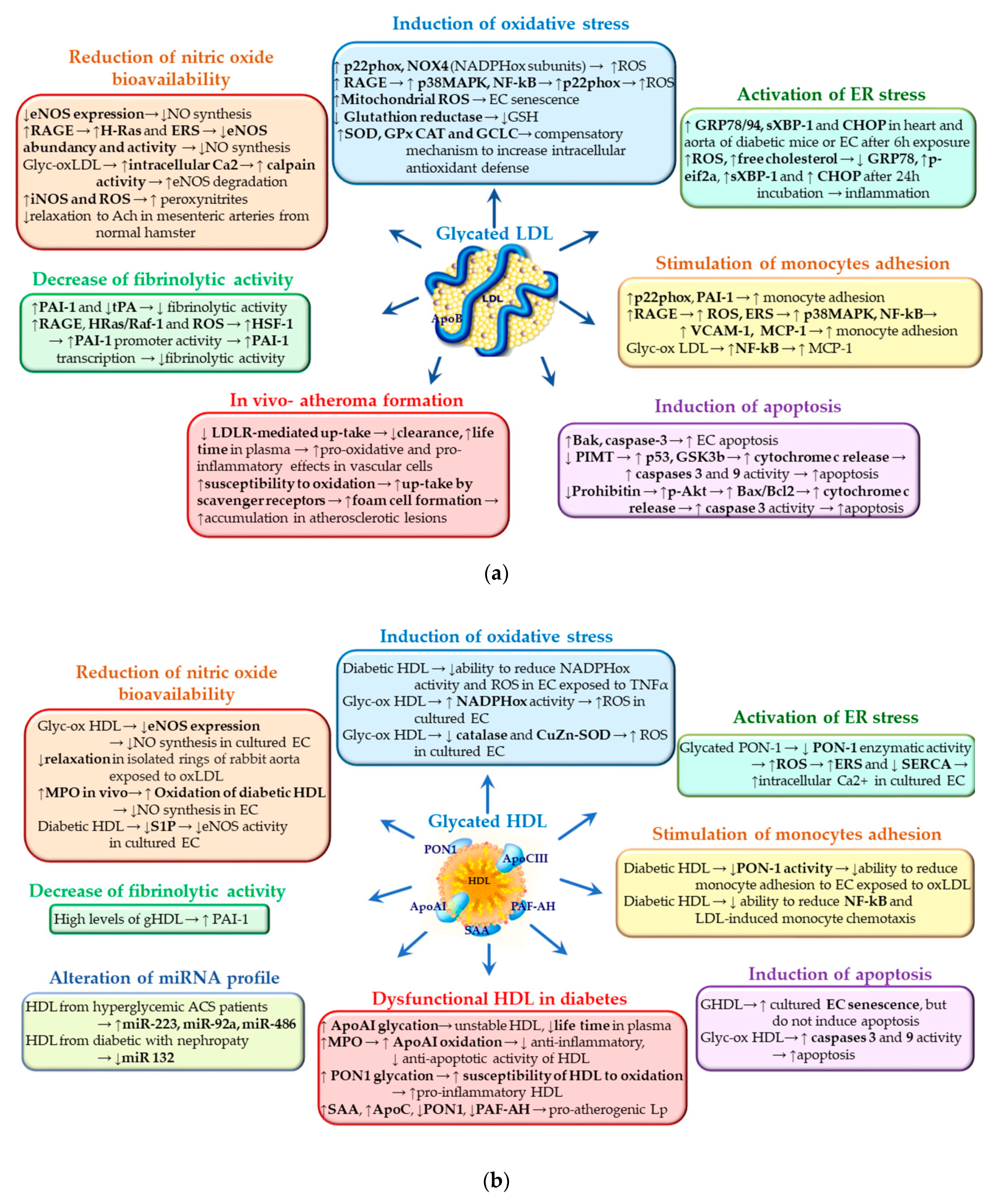 Biomedicines 09 00018 g003 Biomedicines 09 00018 g003