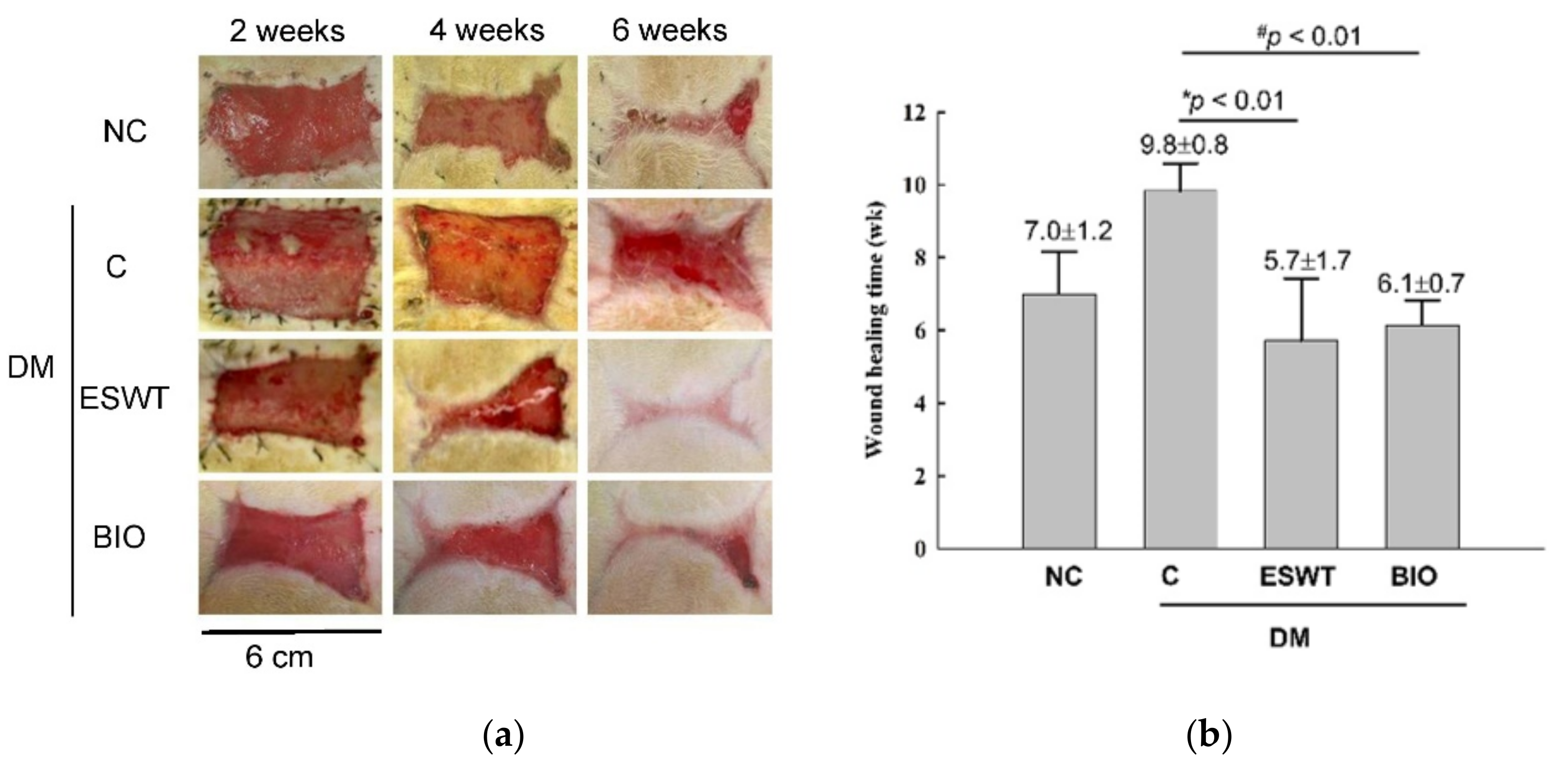 The Acceleration of Diabetic Wound Healing by Low-Intensity