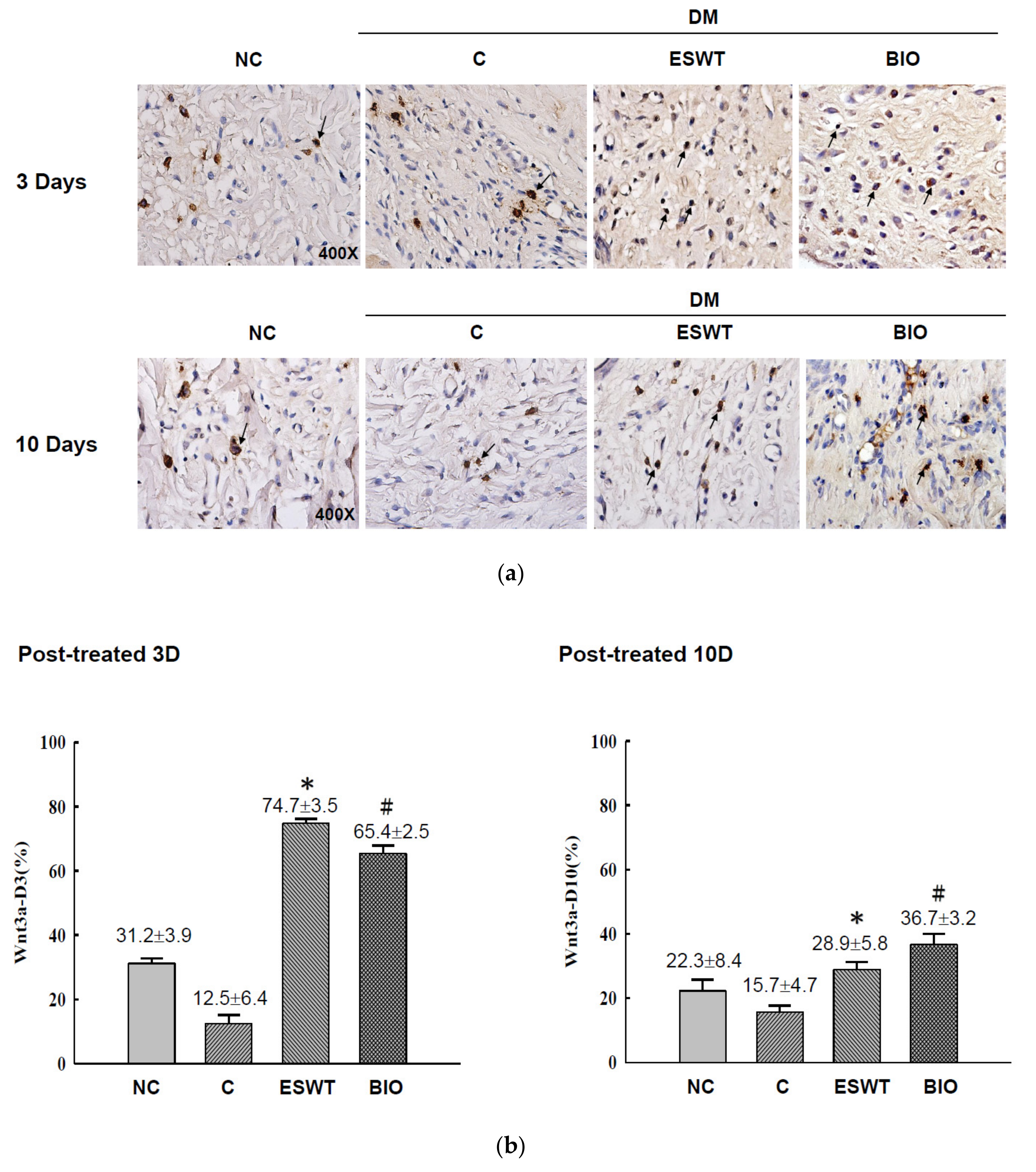 Biomedicines 09 00021 g002 Biomedicines 09 00021 g002