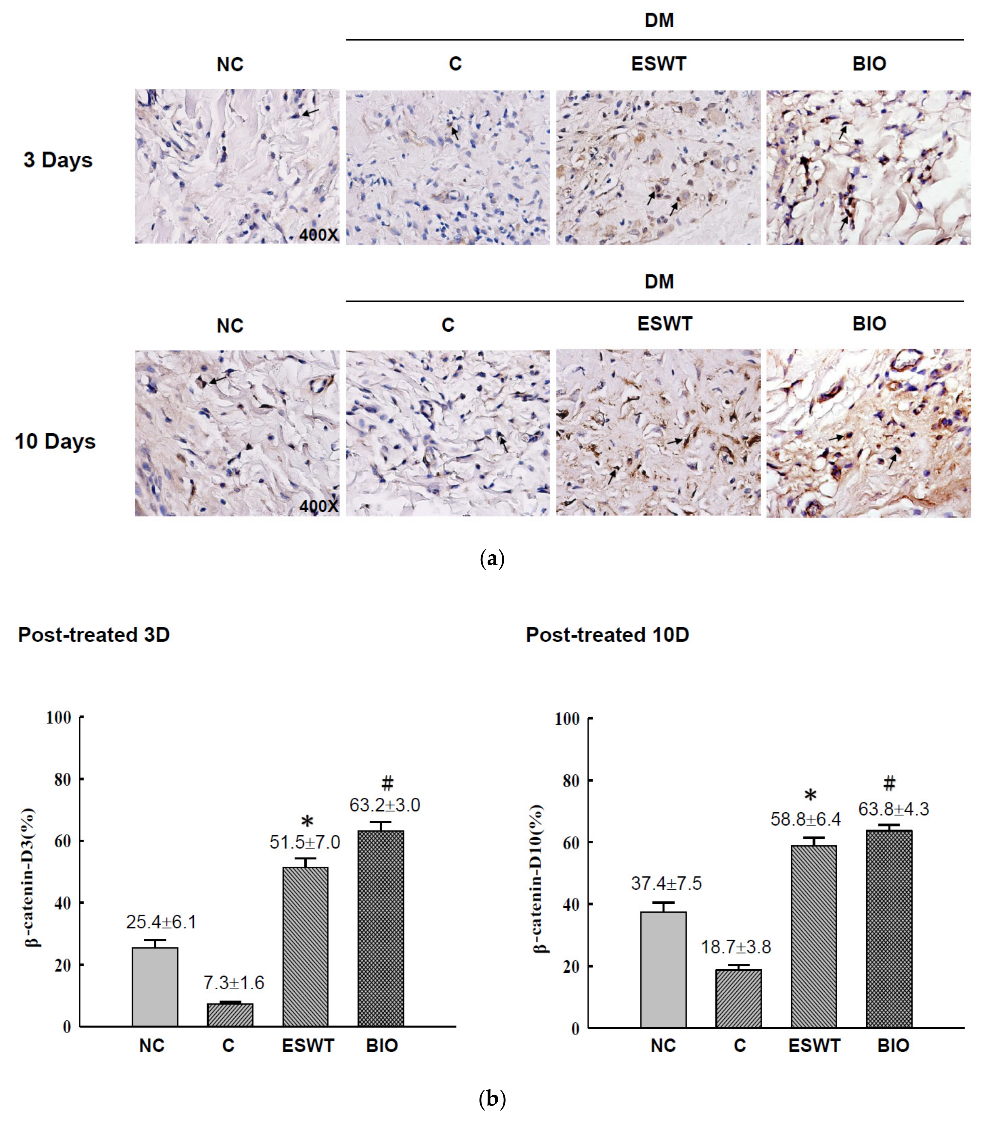Biomedicines 09 00021 g004 Biomedicines 09 00021 g004