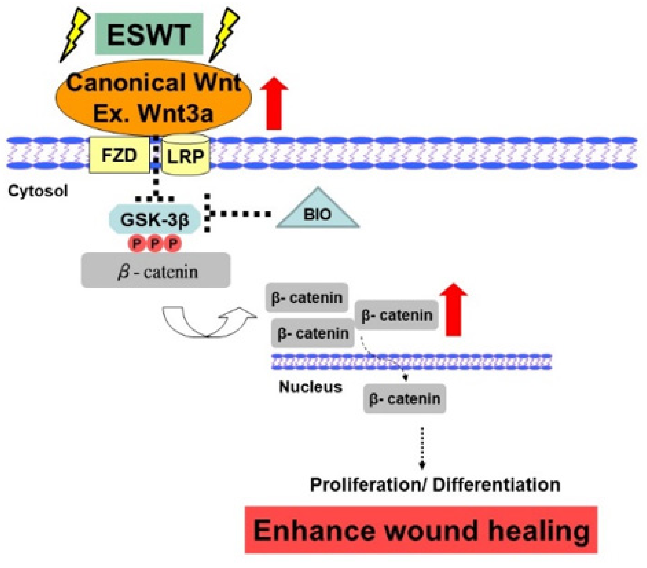 Biomedicines 09 00021 g005 Biomedicines 09 00021 g005