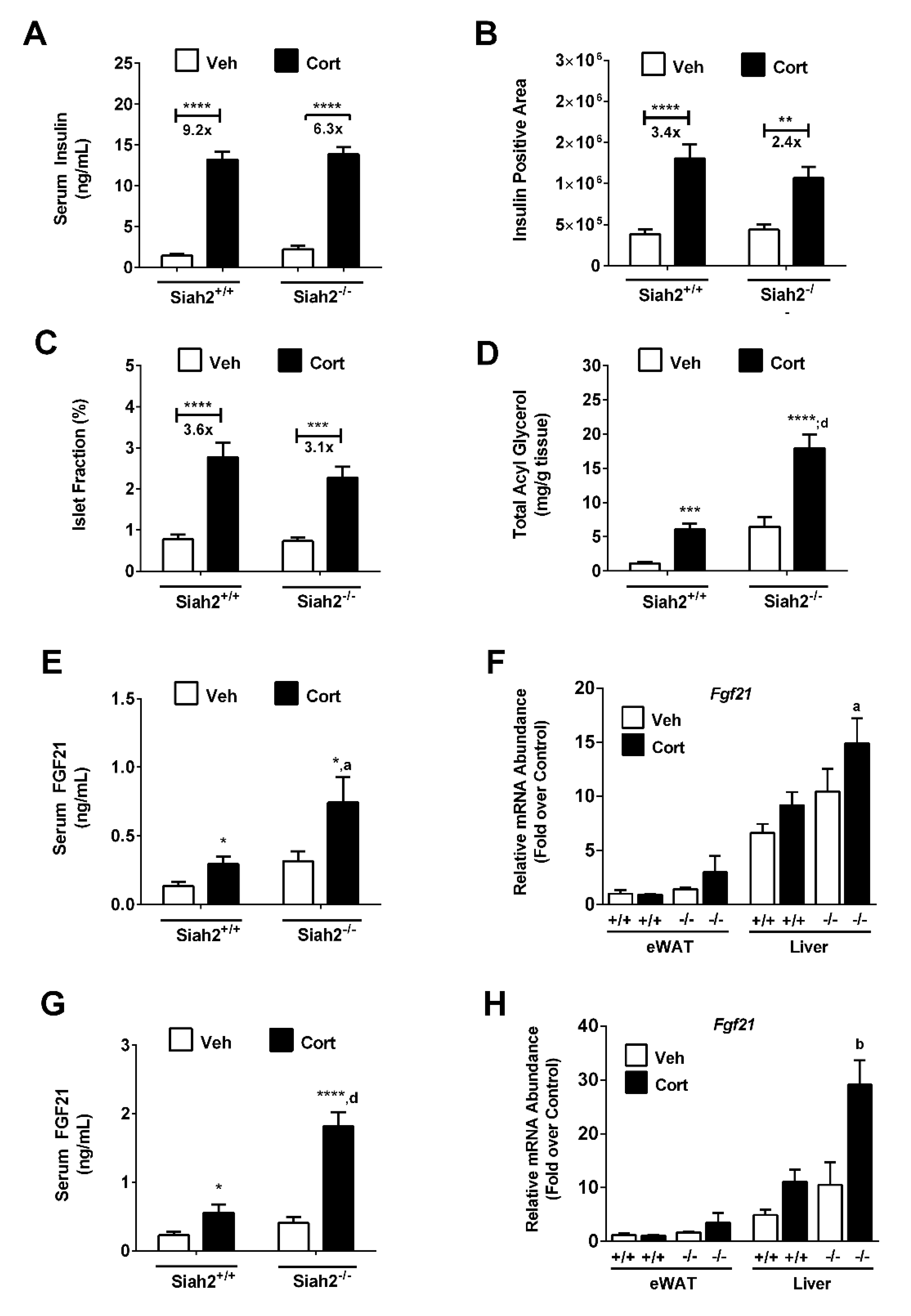Biomedicines 09 00022 g002 Biomedicines 09 00022 g002