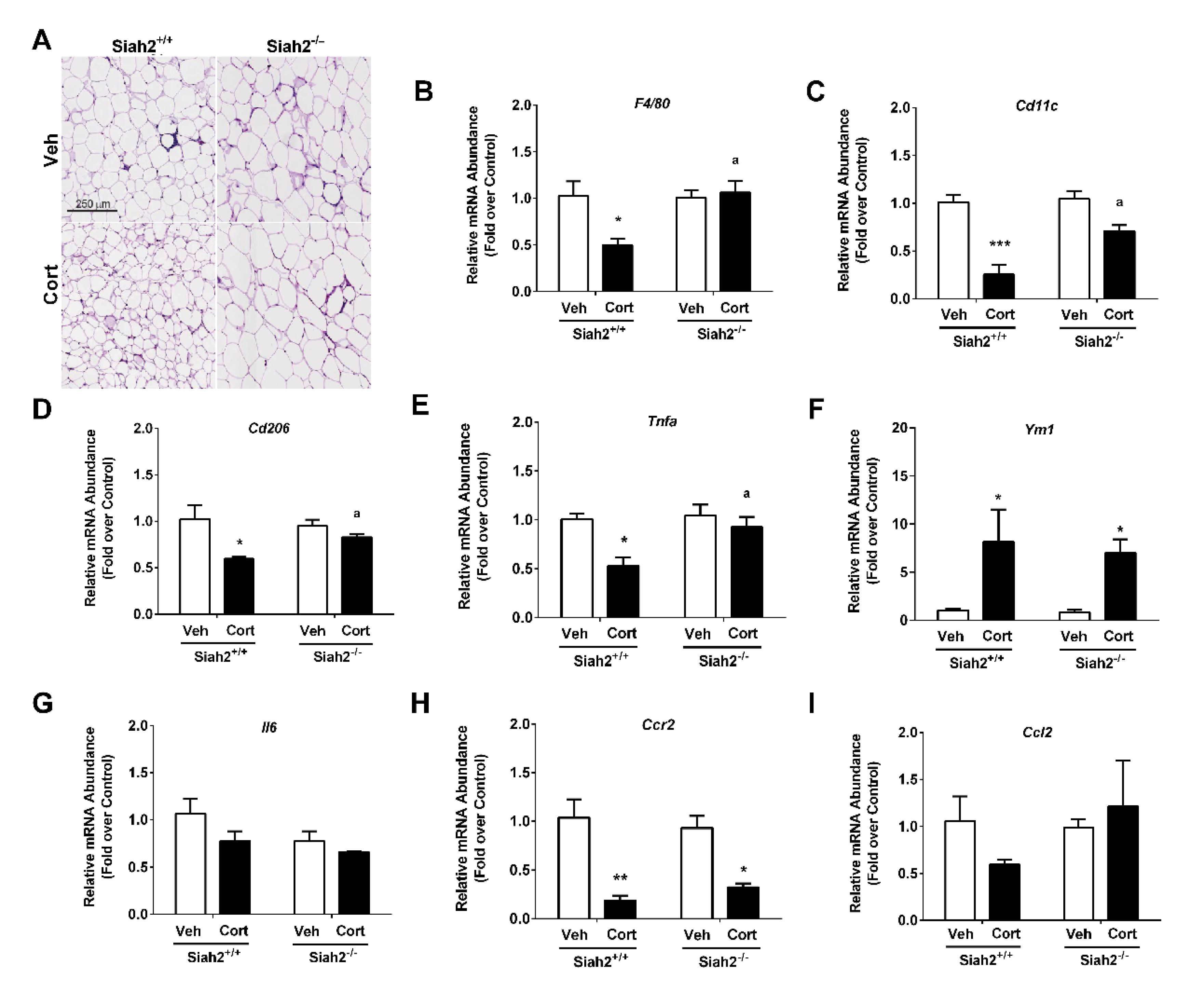 Biomedicines 09 00022 g003 Biomedicines 09 00022 g003