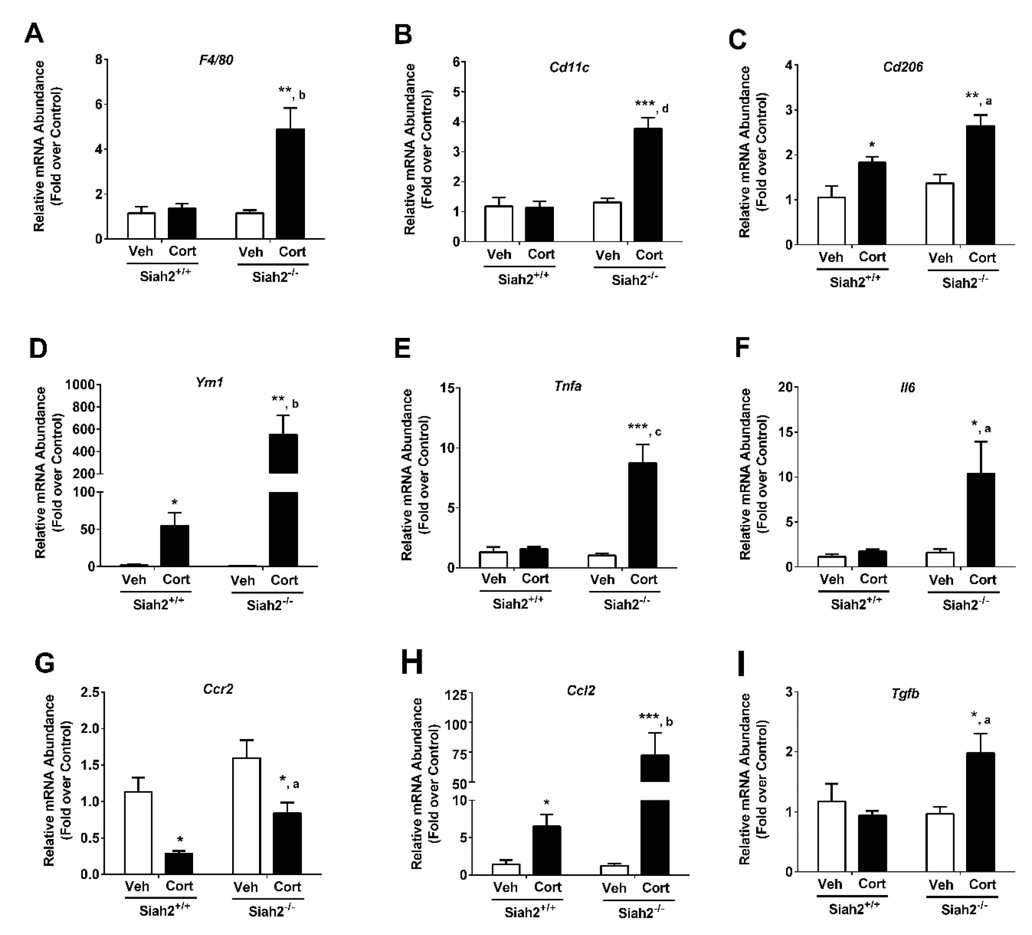 Biomedicines 09 00022 g004 Biomedicines 09 00022 g004