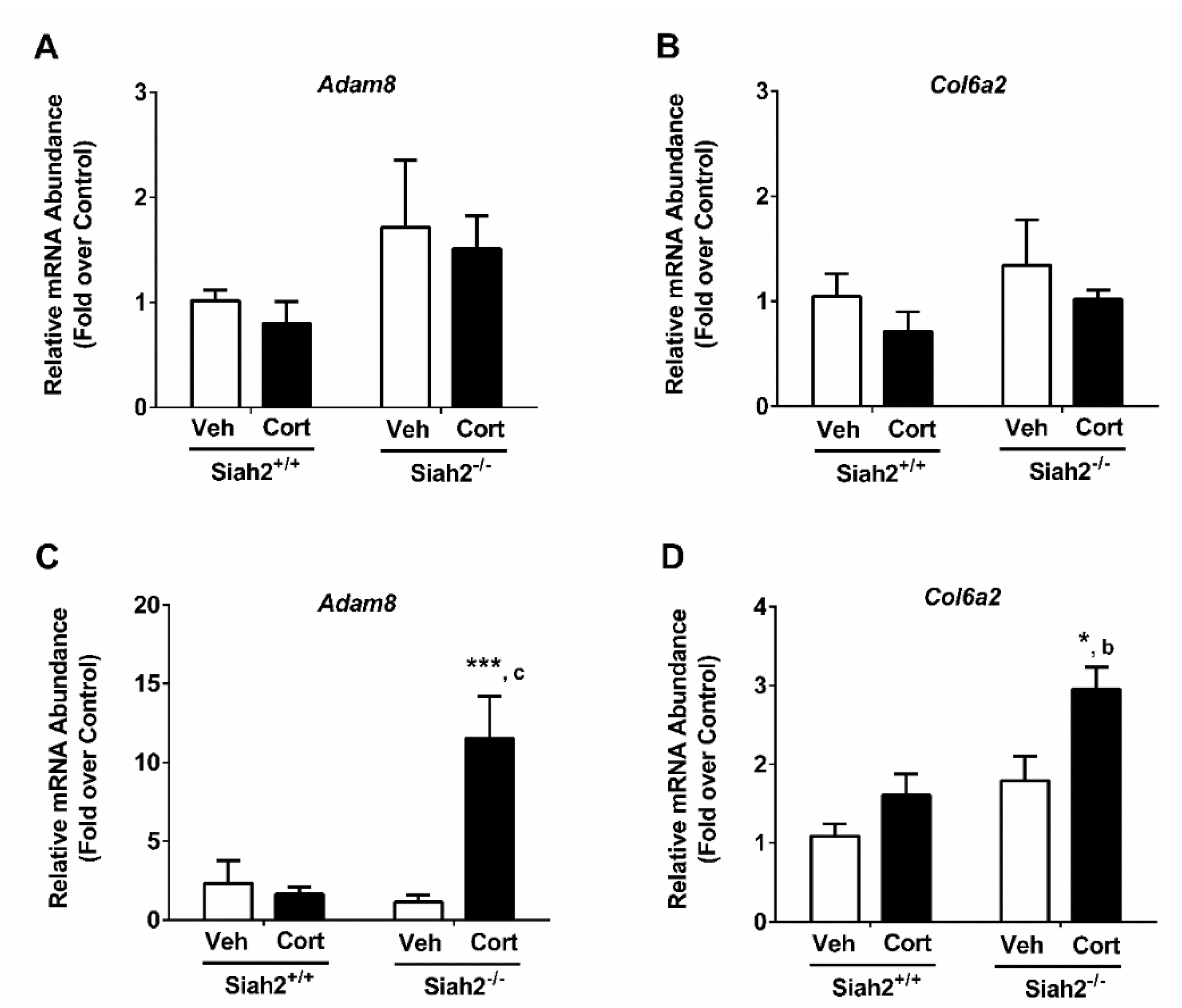 Biomedicines 09 00022 g005 Biomedicines 09 00022 g005