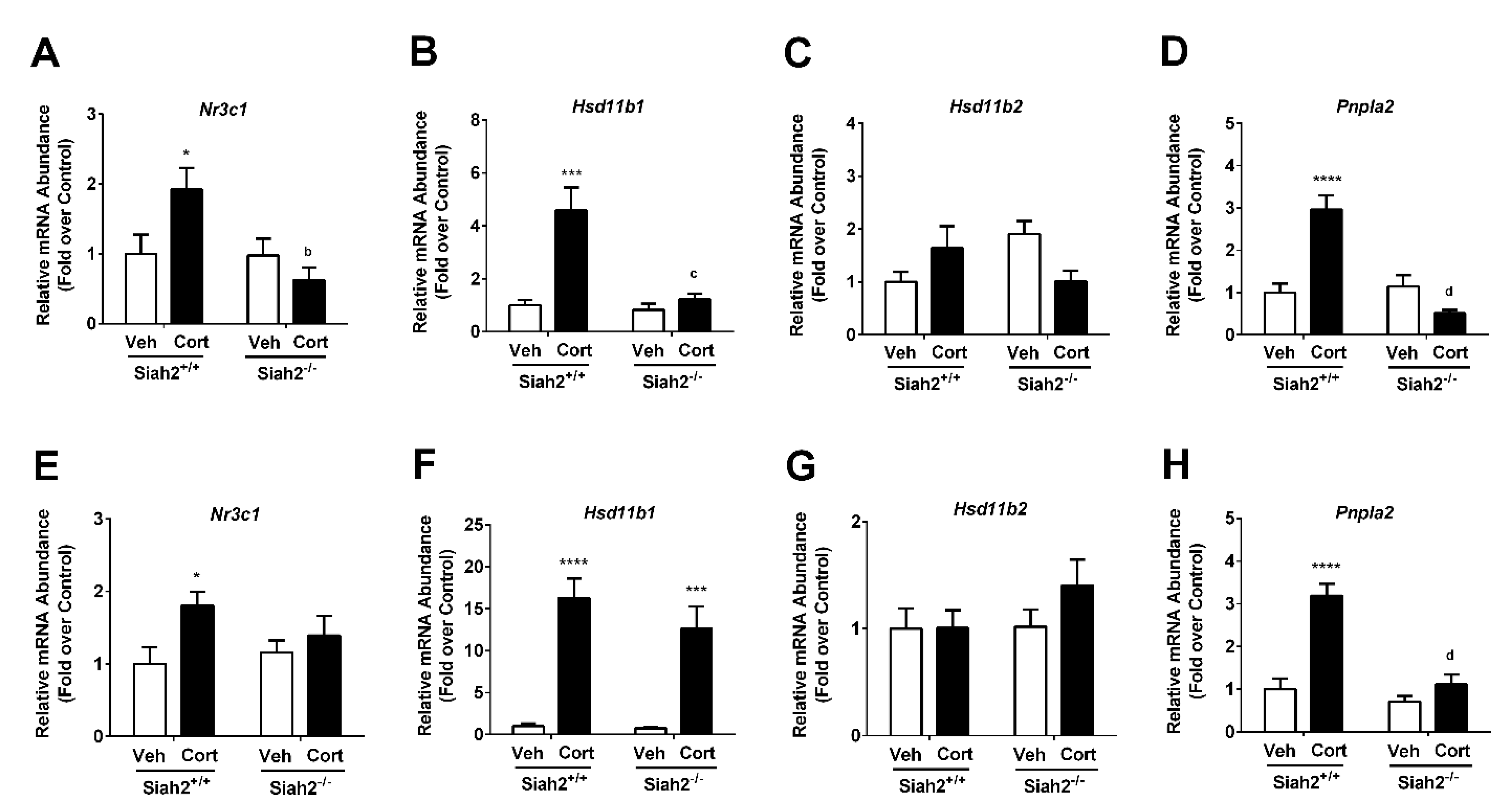 Biomedicines 09 00022 g006 Biomedicines 09 00022 g006