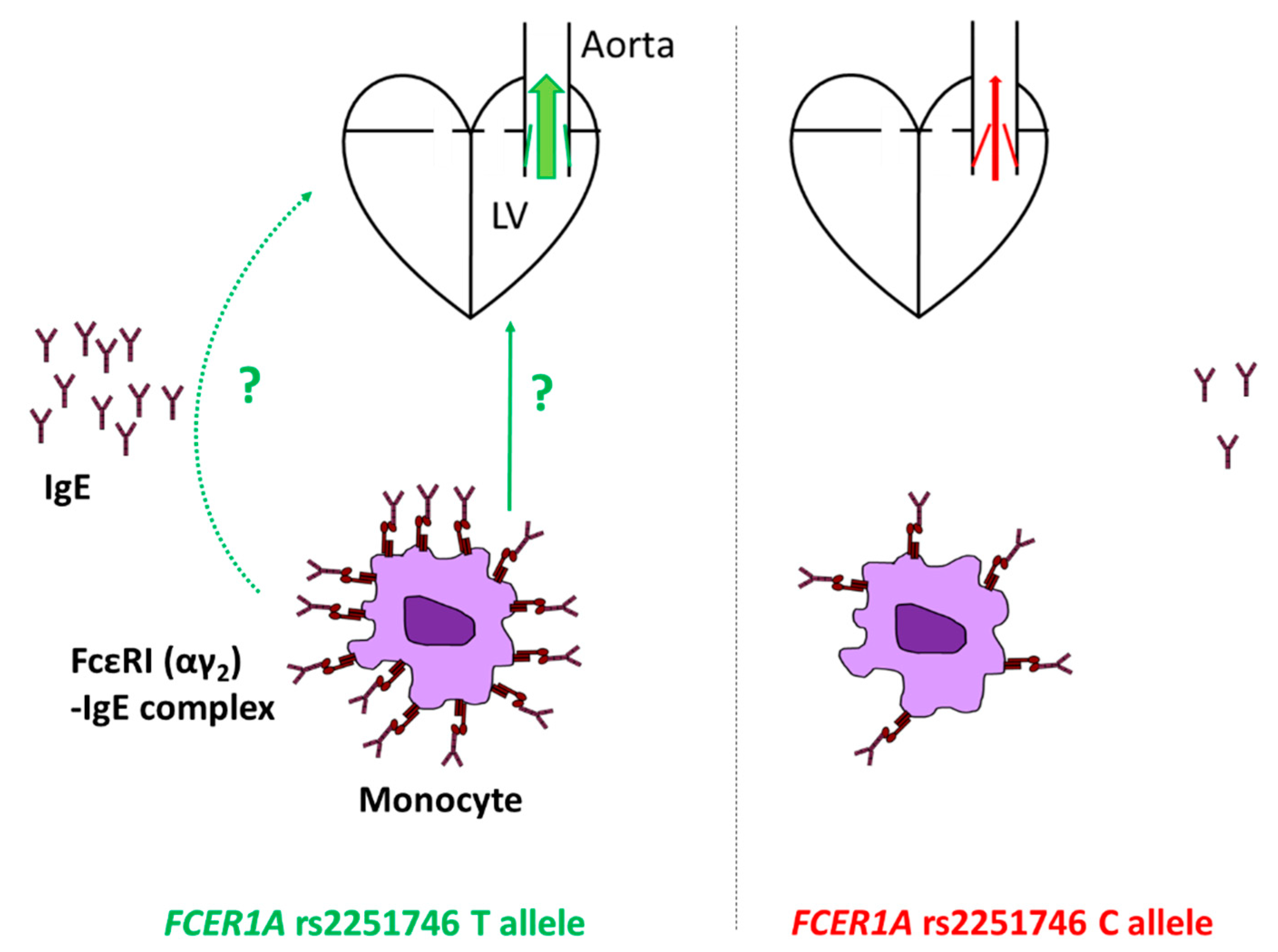 Biomedicines 09 00023 g003