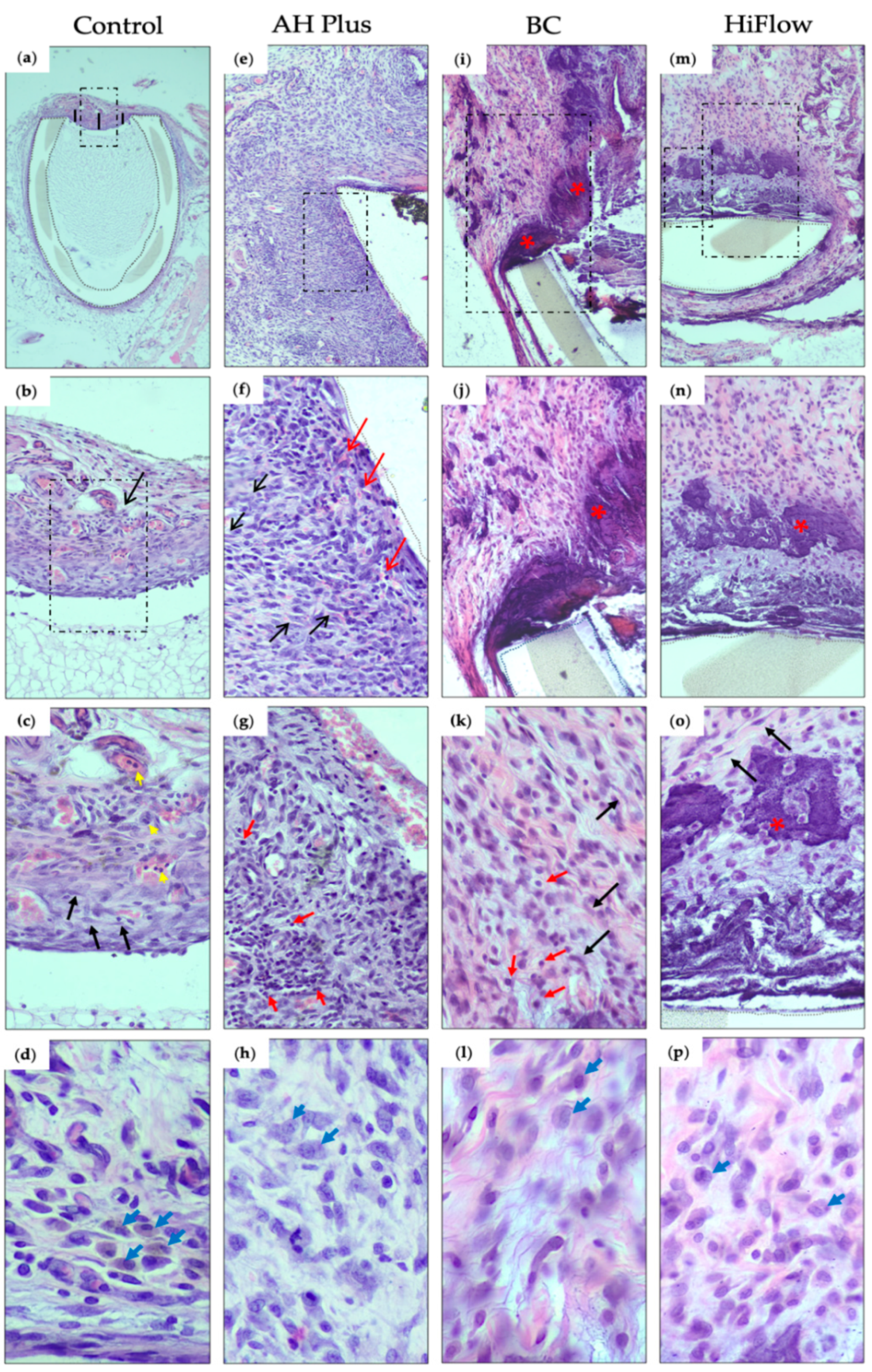Biomedicines 09 00024 g001 Biomedicines 09 00024 g001