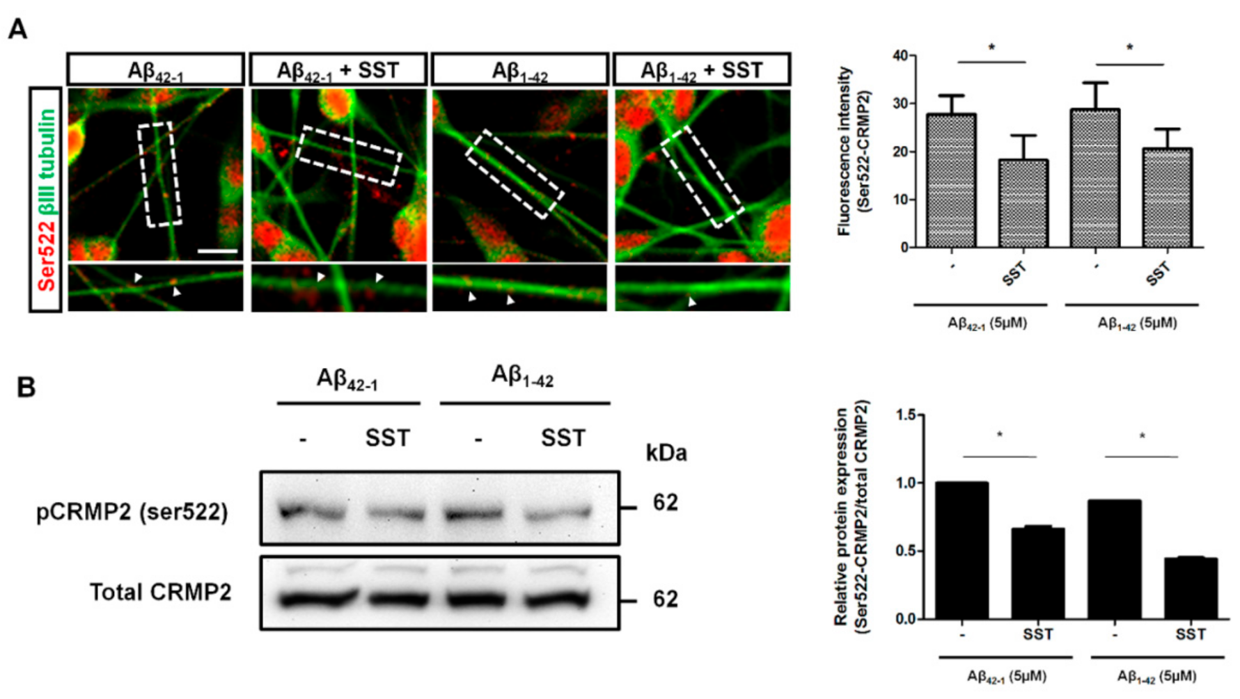 Biomedicines 09 00027 g004 Biomedicines 09 00027 g004