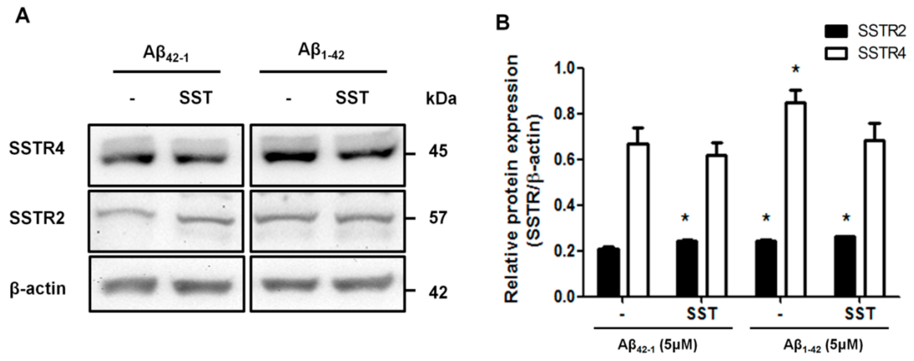 Biomedicines 09 00027 g005 Biomedicines 09 00027 g005