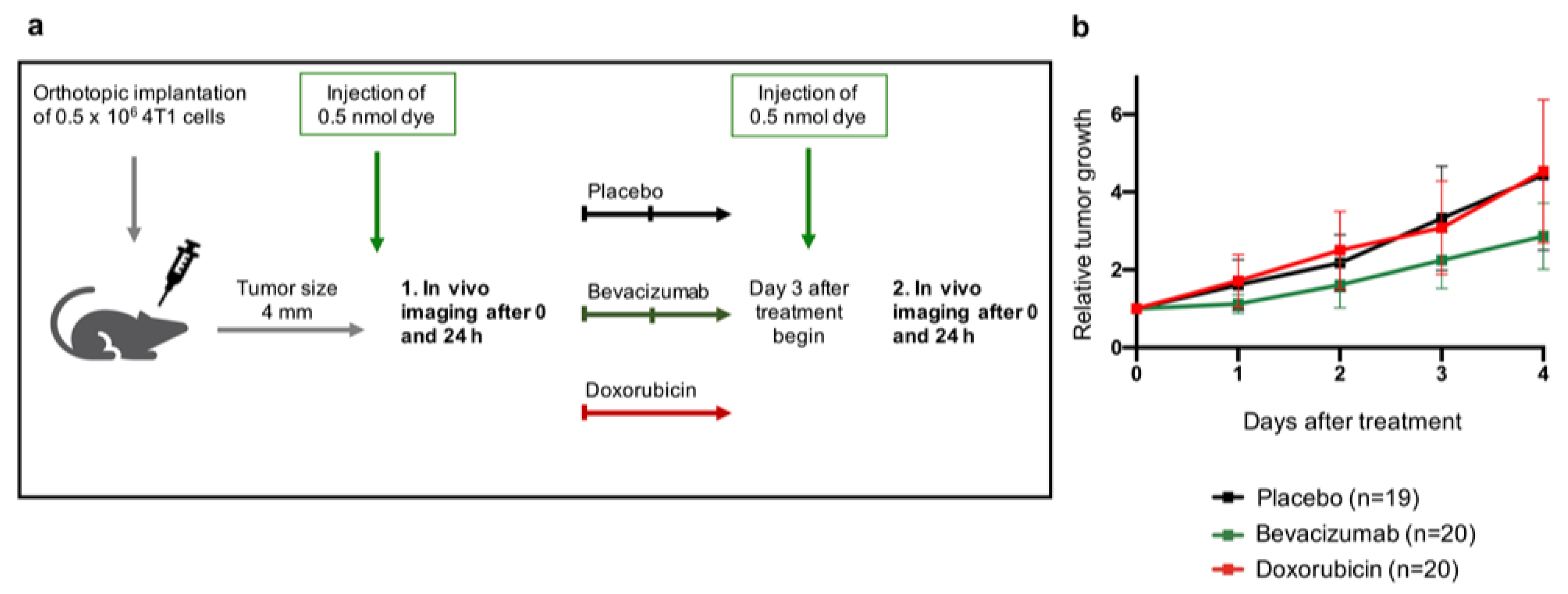 Biomedicines 09 00029 g001 Biomedicines 09 00029 g001