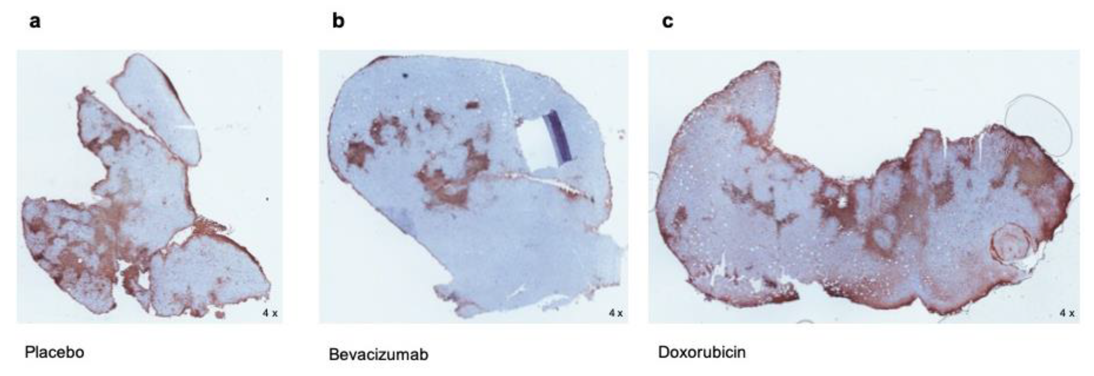 Biomedicines 09 00029 g003 Biomedicines 09 00029 g003