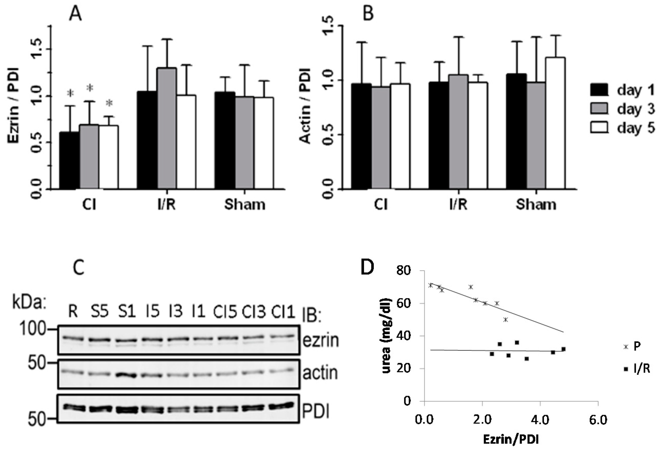 Biomedicines 09 00030 g003