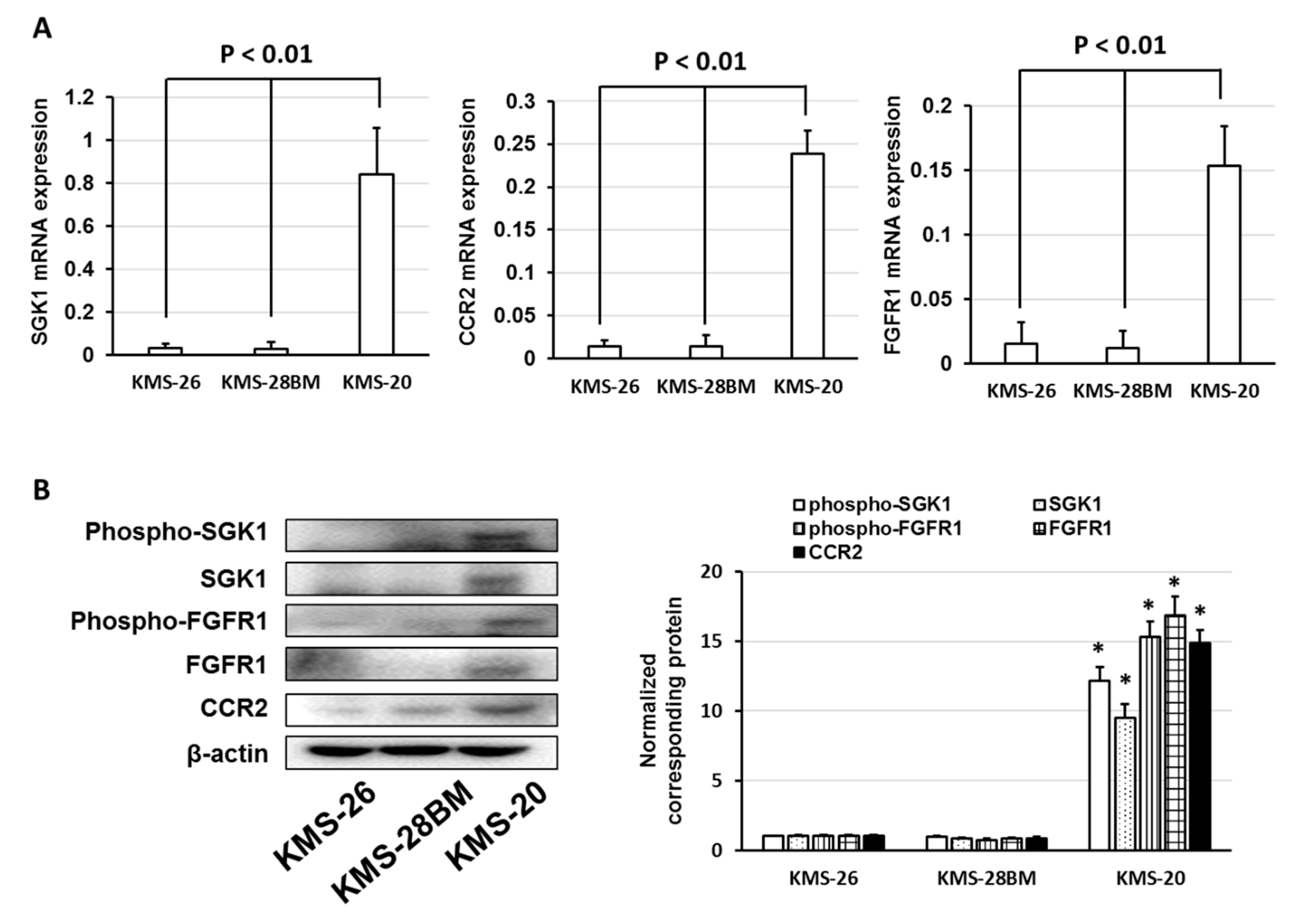 Biomedicines 09 00033 g003a Biomedicines 09 00033 g003a